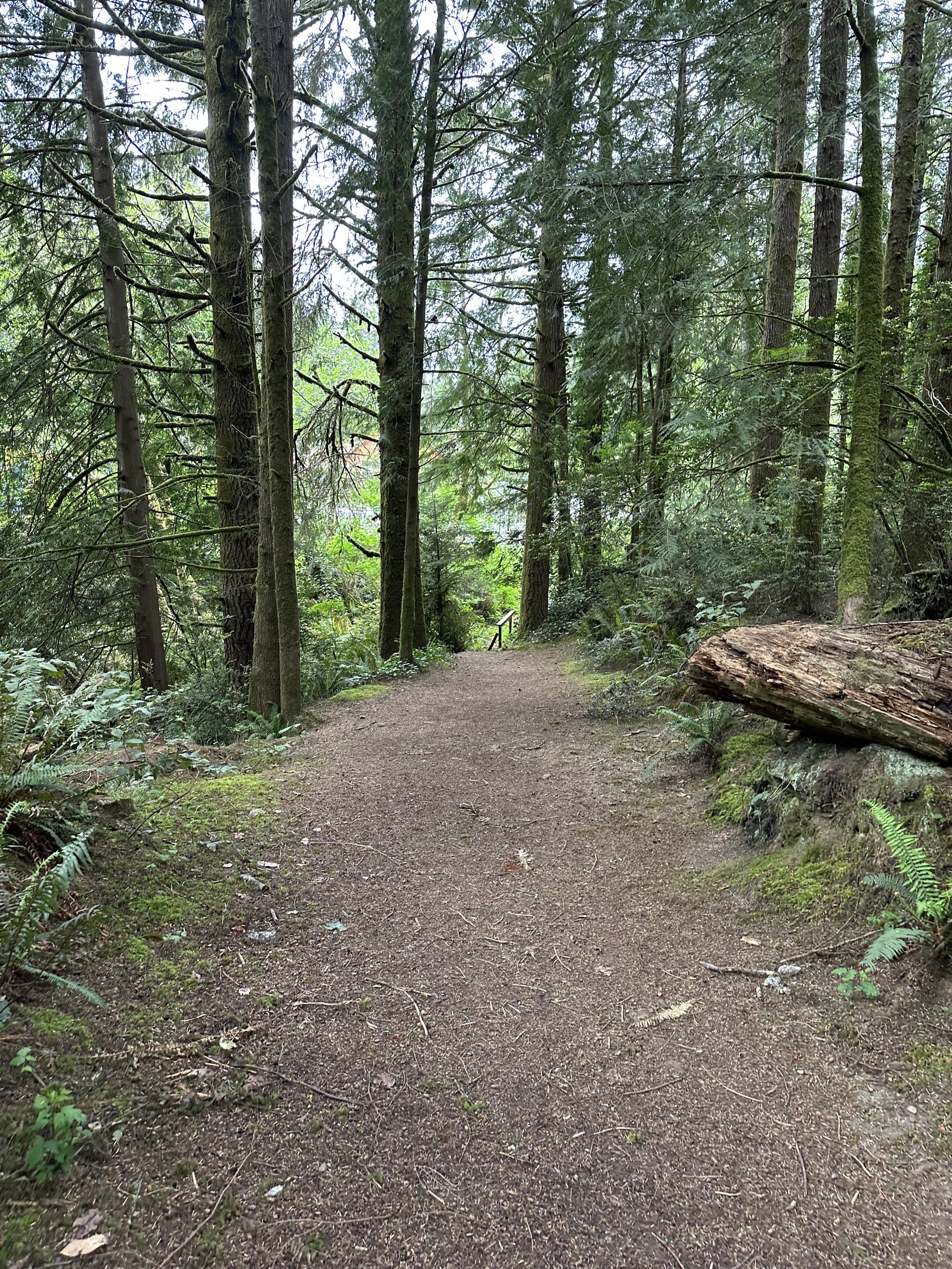 Pathway to pool