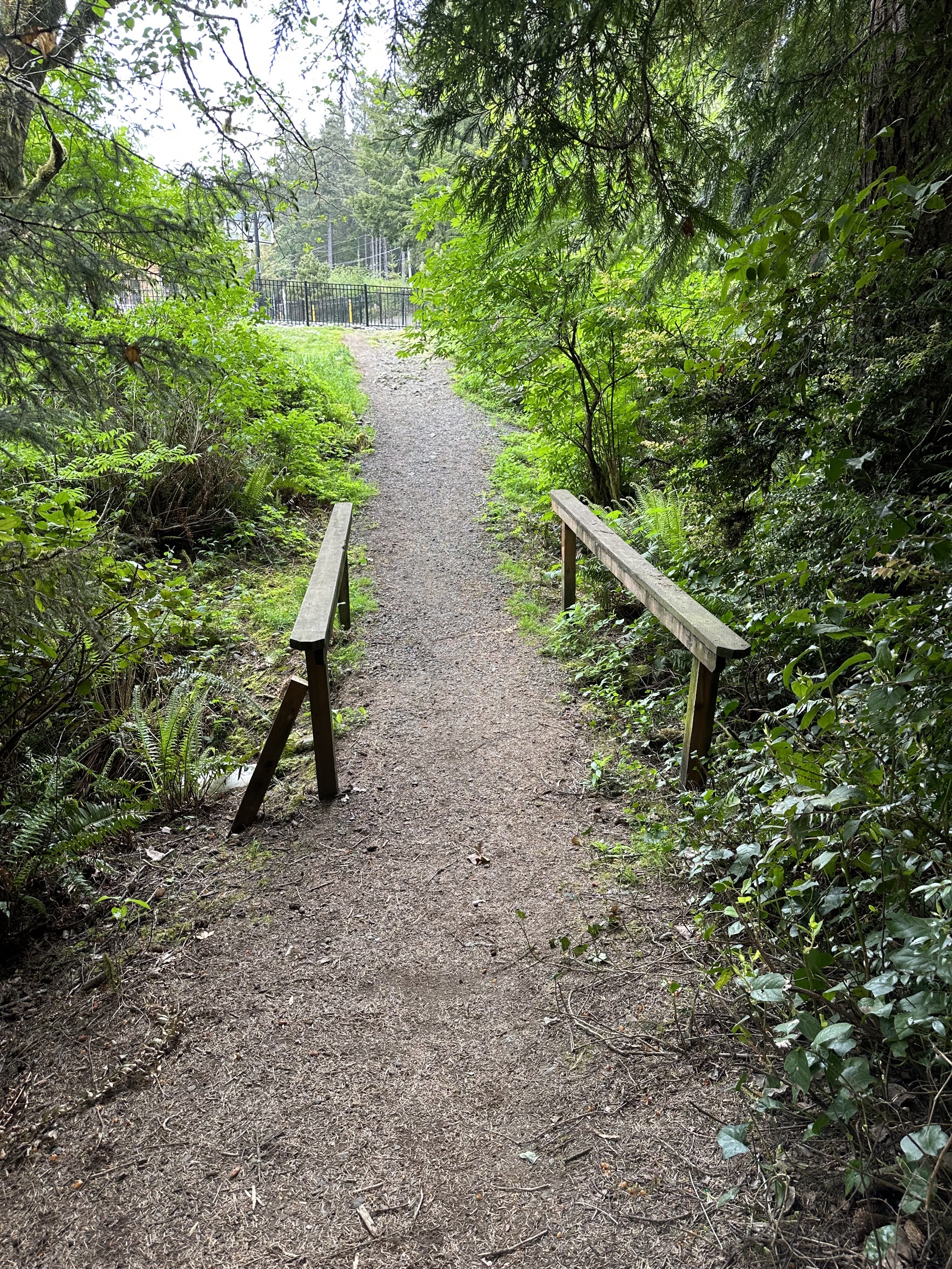 Pathway to pool
