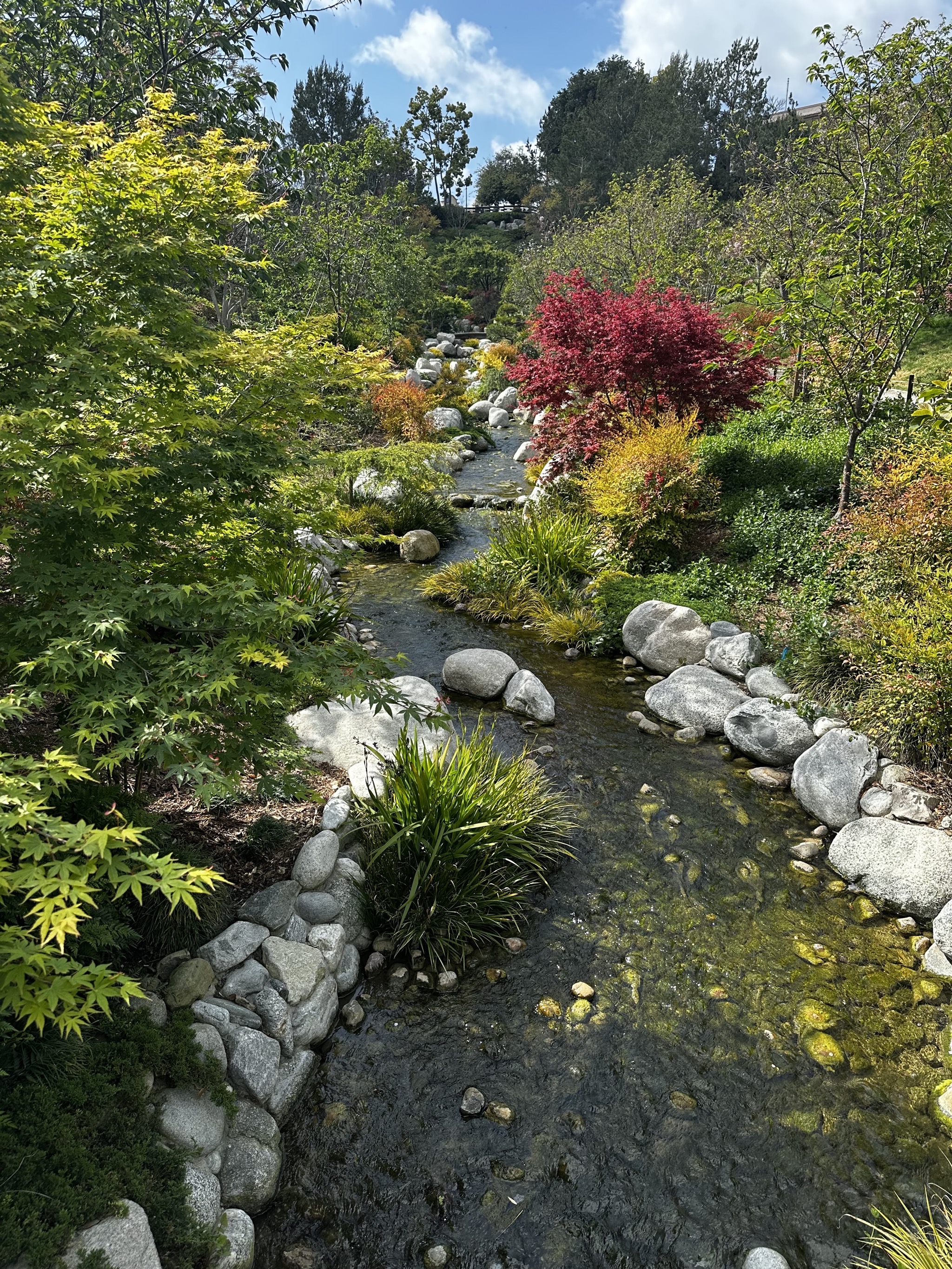 Japanese Friendship Garden