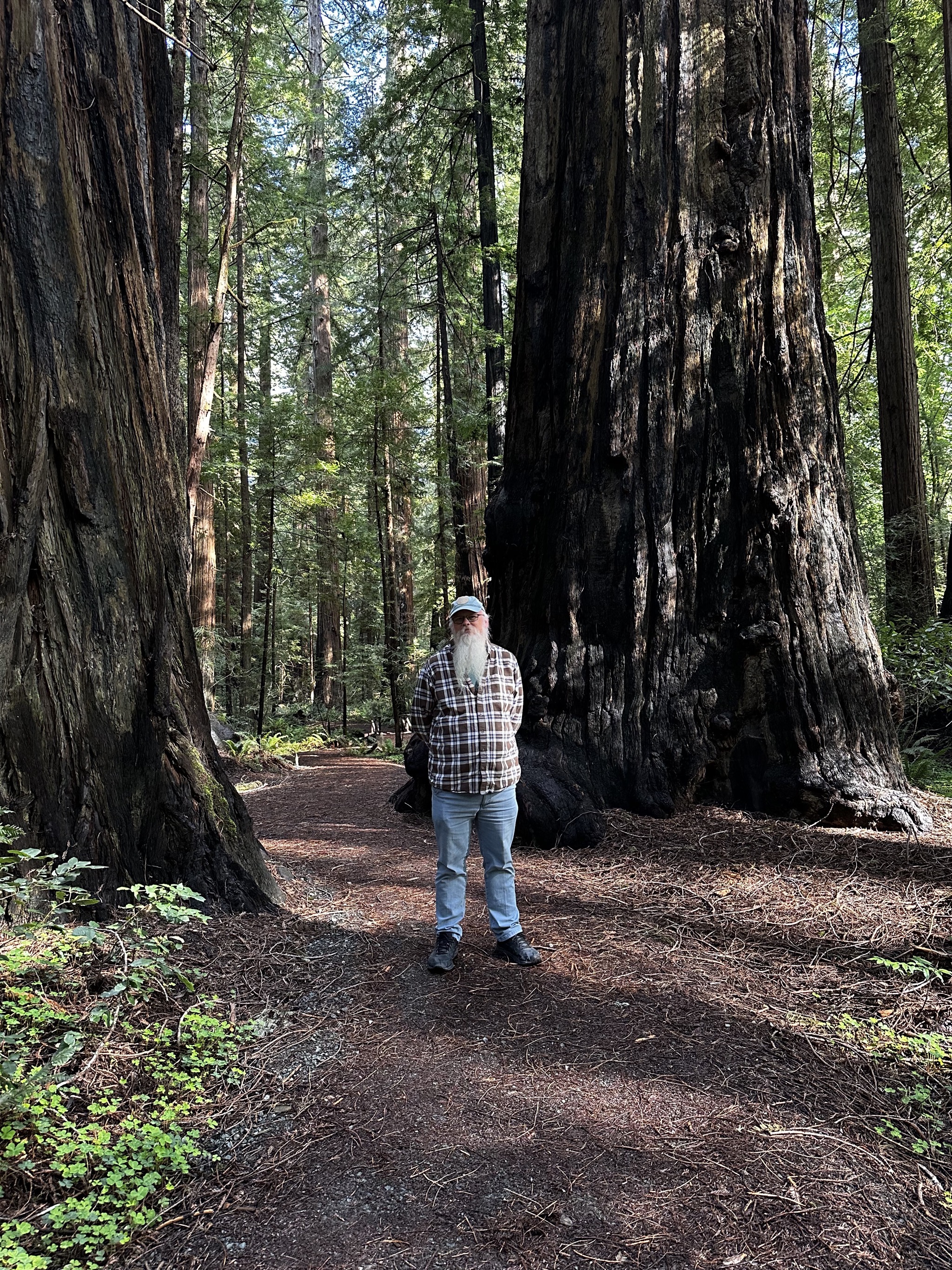 Gould Grove Nature Loop Trail