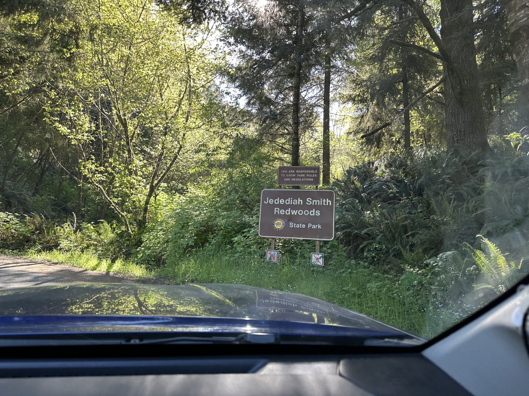 Jedediah Smith Redwoods State Park