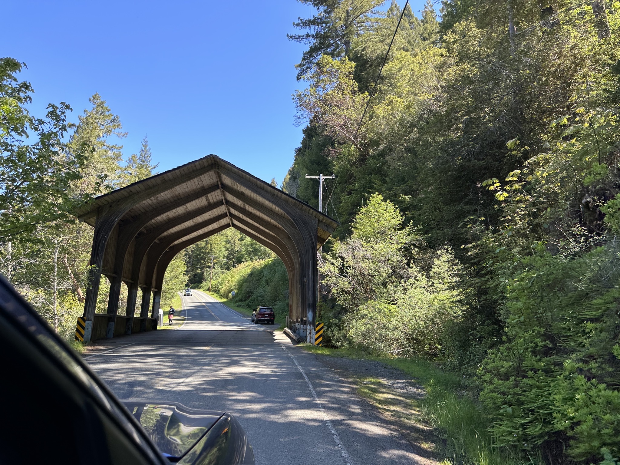 Jedediah Smith Redwoods State Park