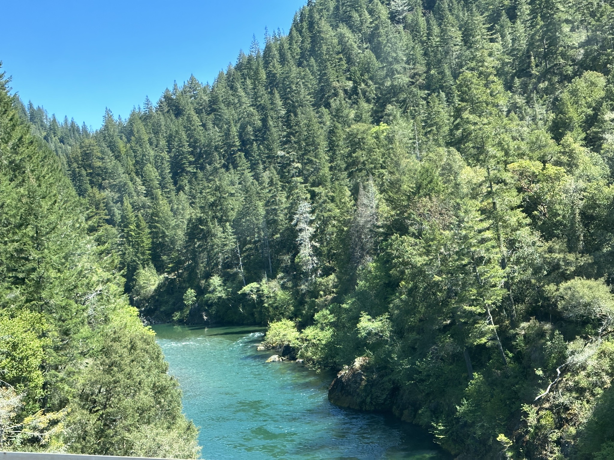 Jedediah Smith Redwoods State Park