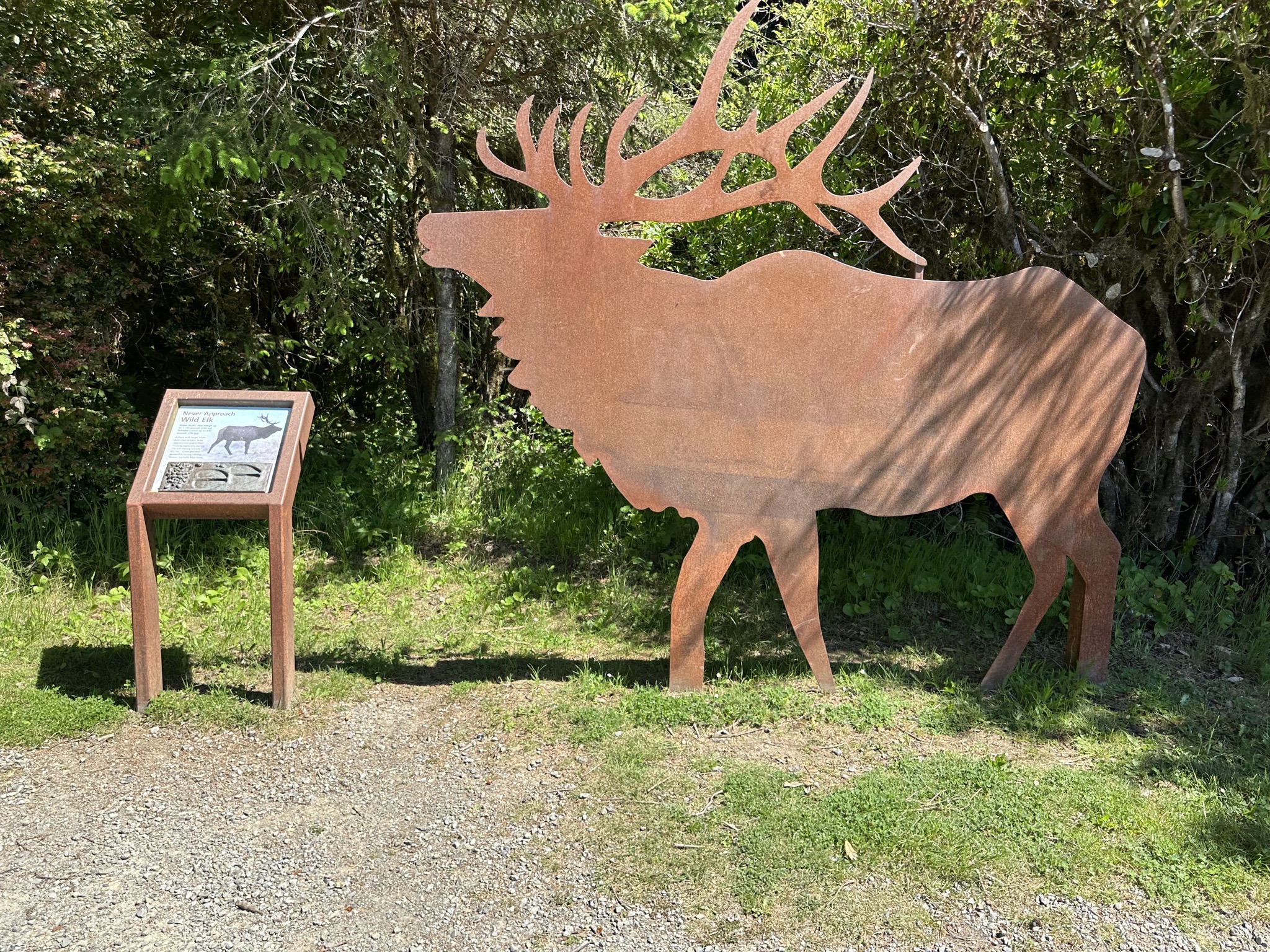 Prairie Creek Redwoods State Park