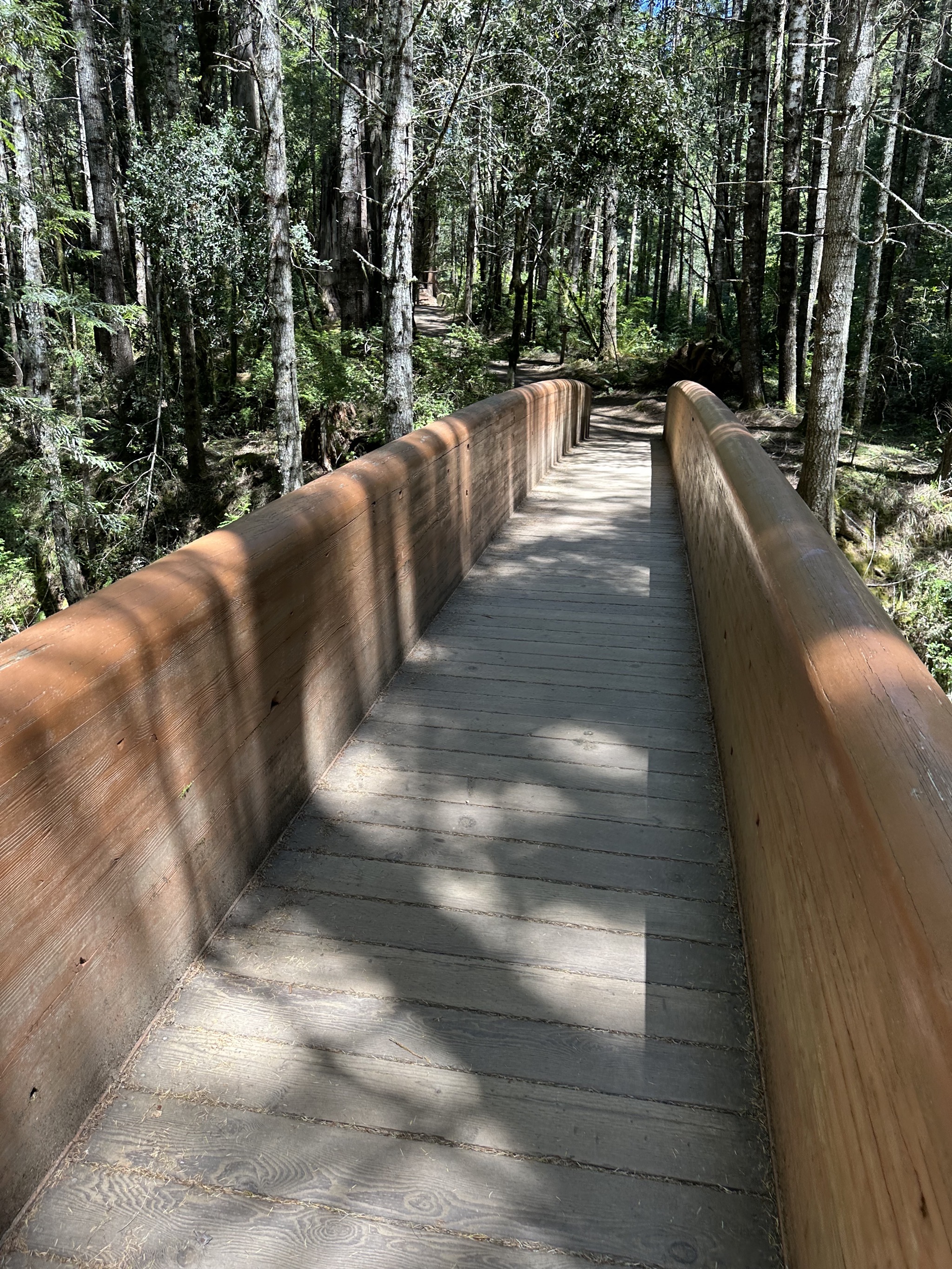 Lady Bird Johnson Grove