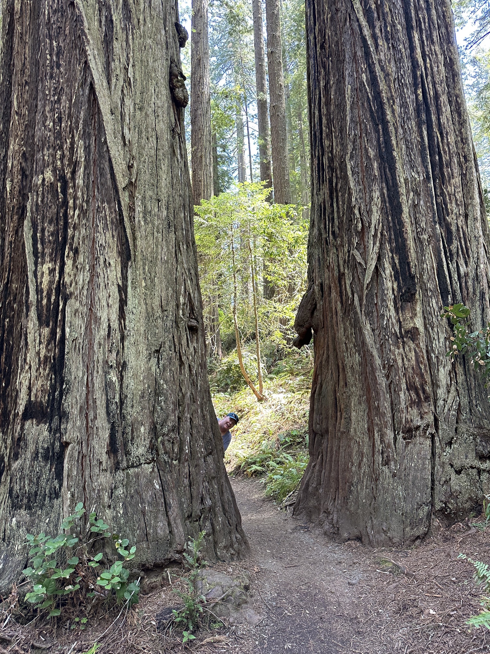 Lady Bird Johnson Grove