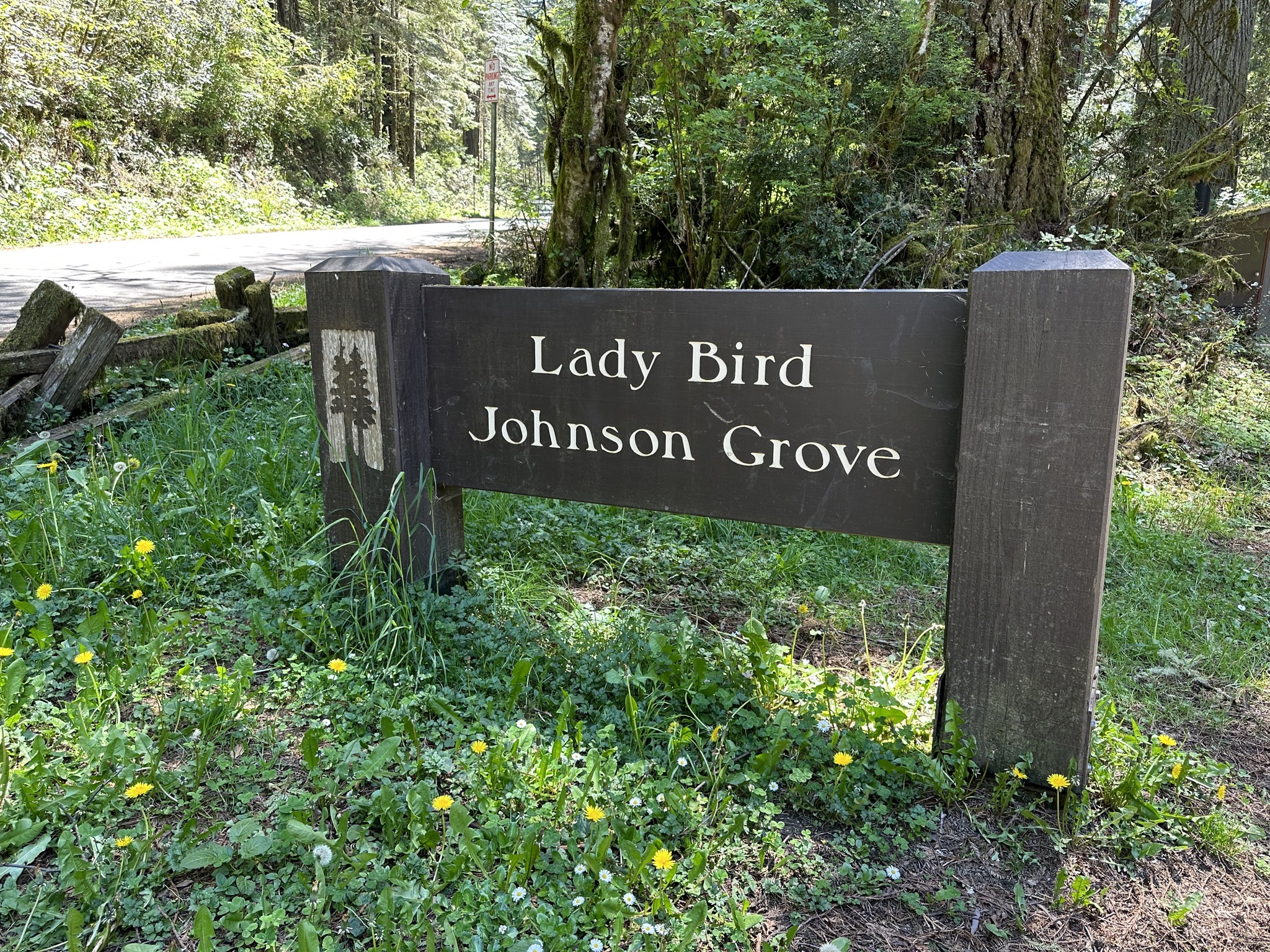 Lady Bird Johnson Grove