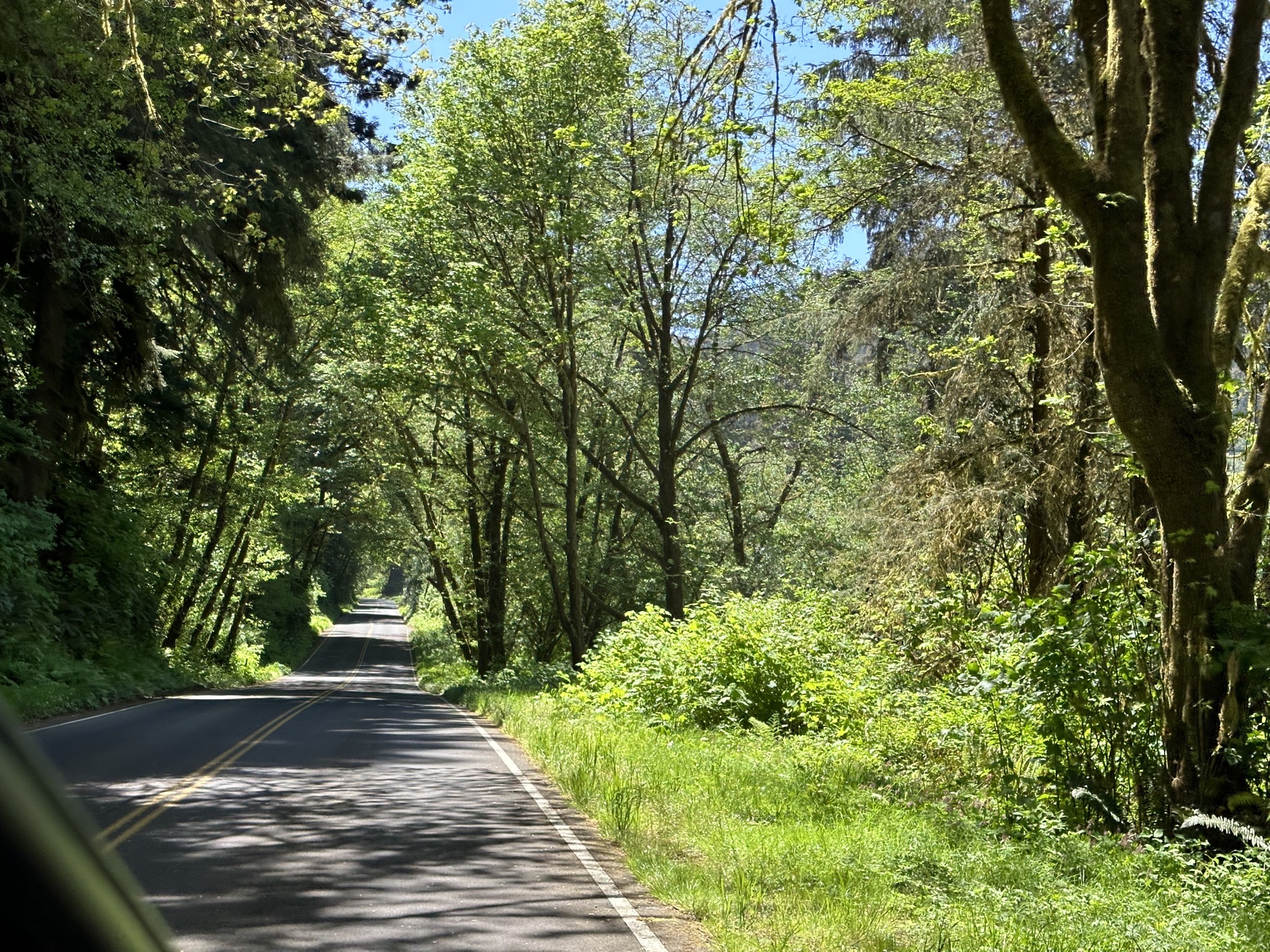Coastal drive