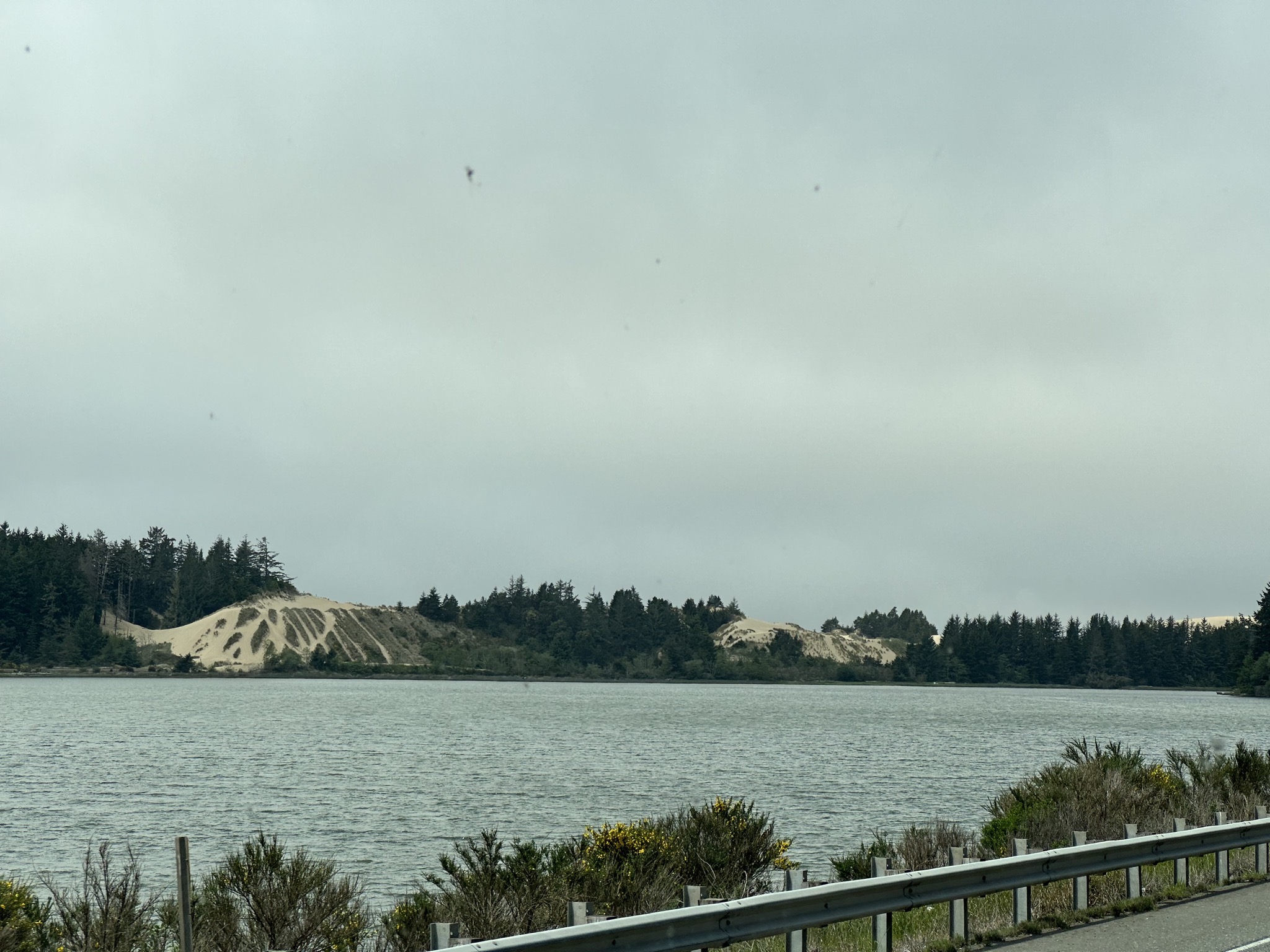 A glimpse of Oregon Dunes