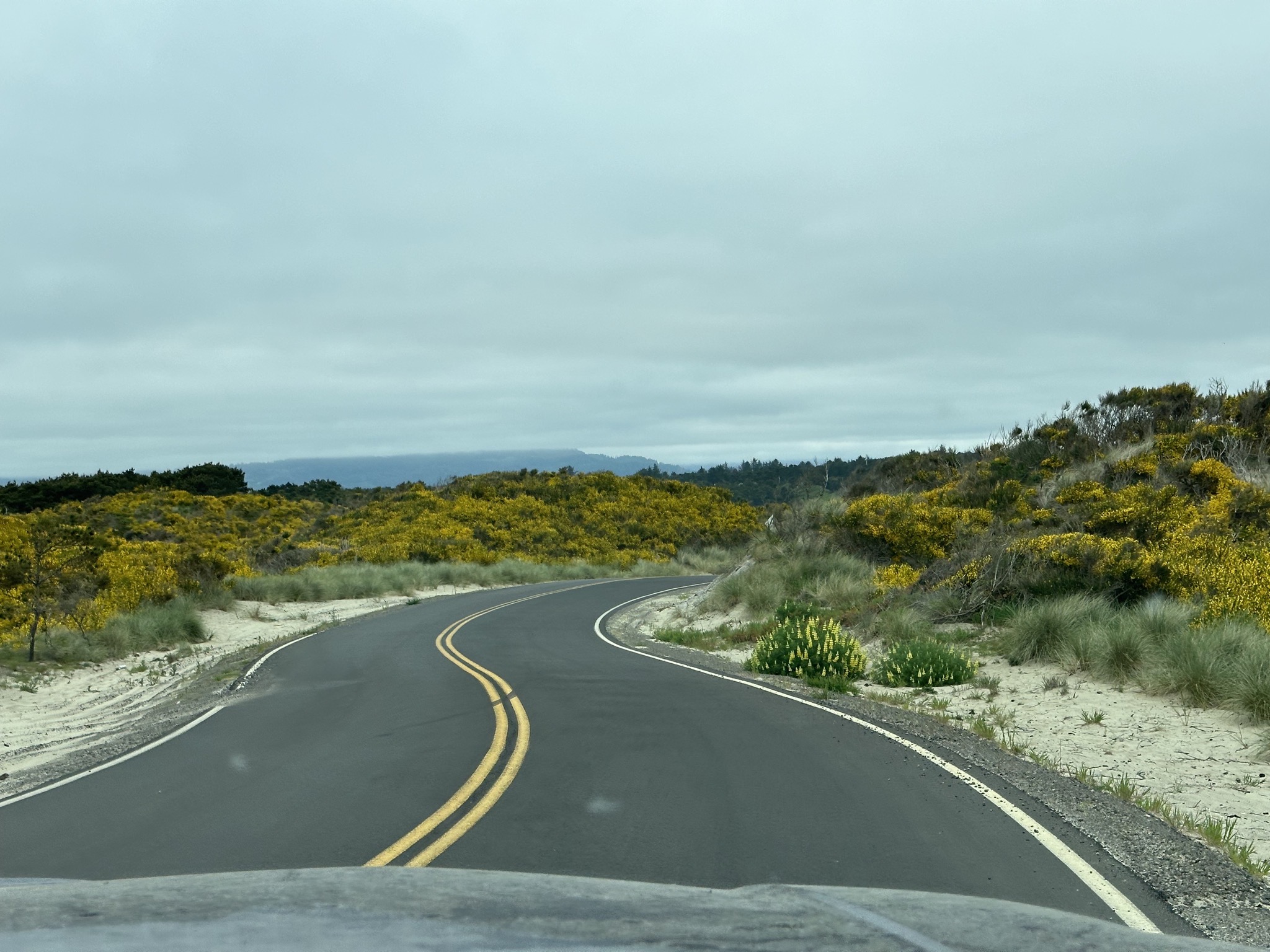 Curvy road