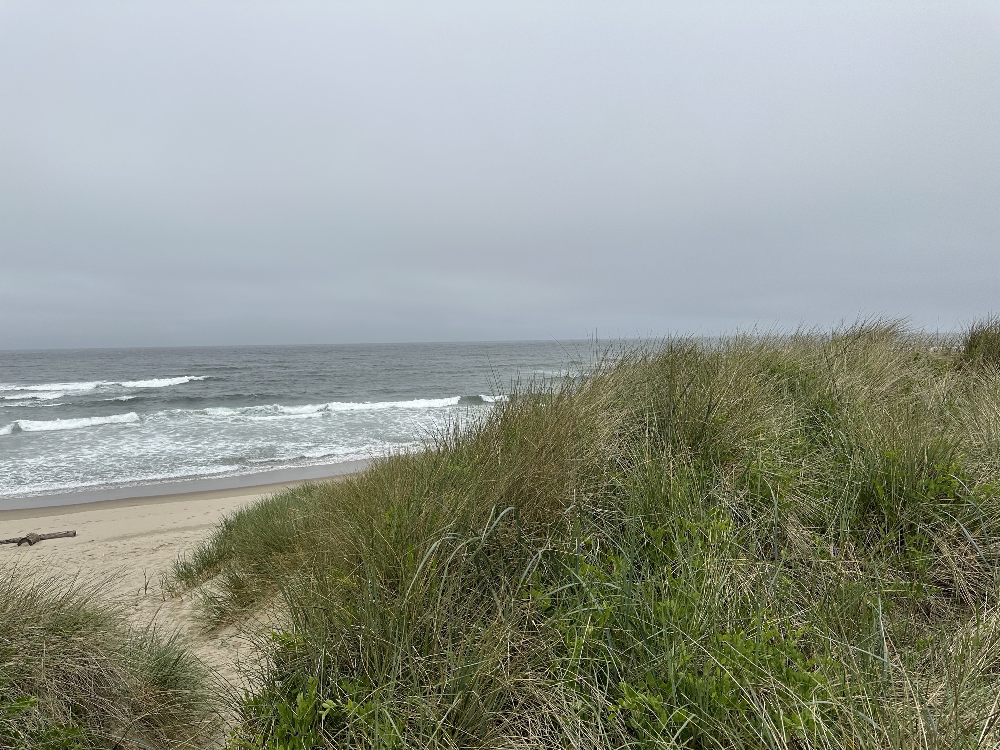 Umpqua Beach