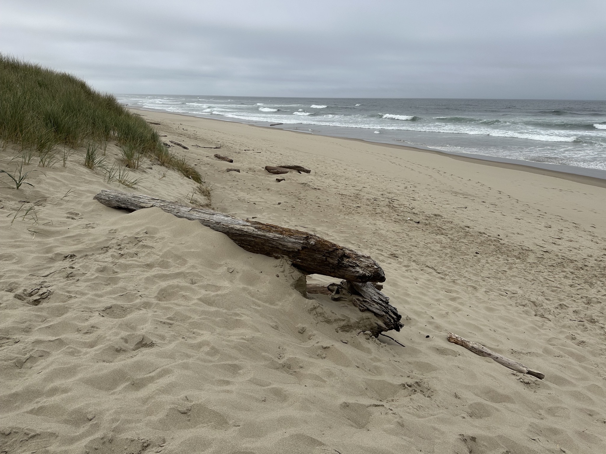 Umpqua Beach