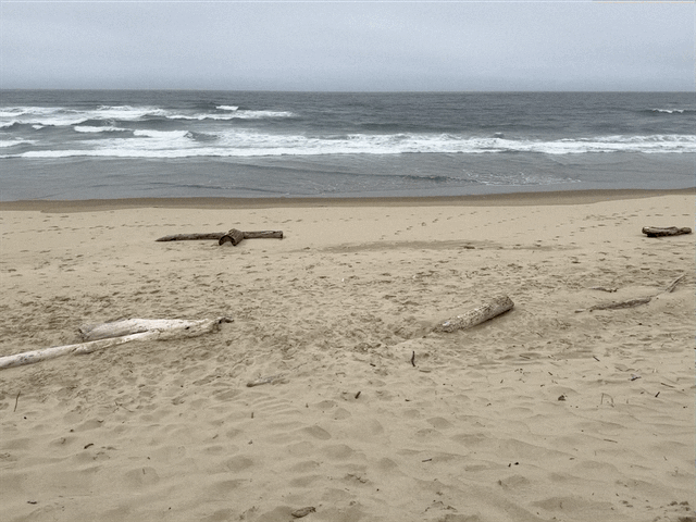 Umpqua Beach