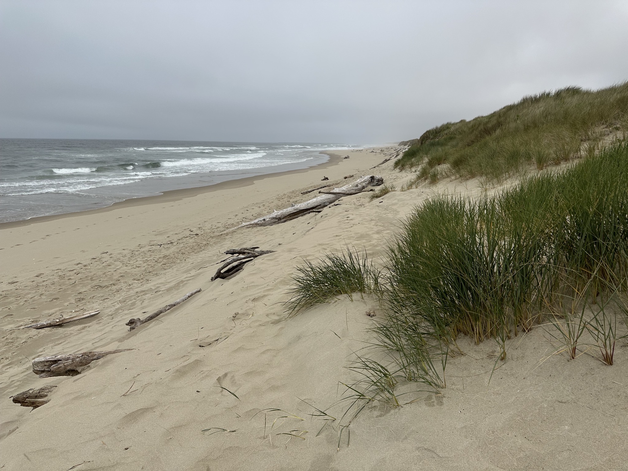 Umpqua Beach