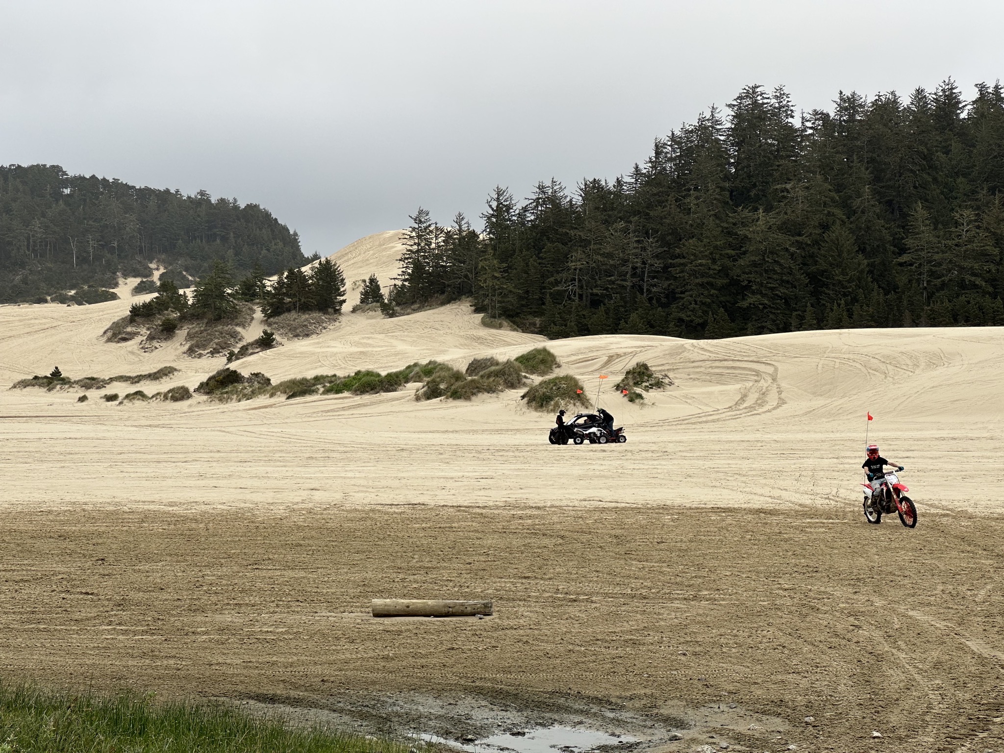 Umpqua Beach