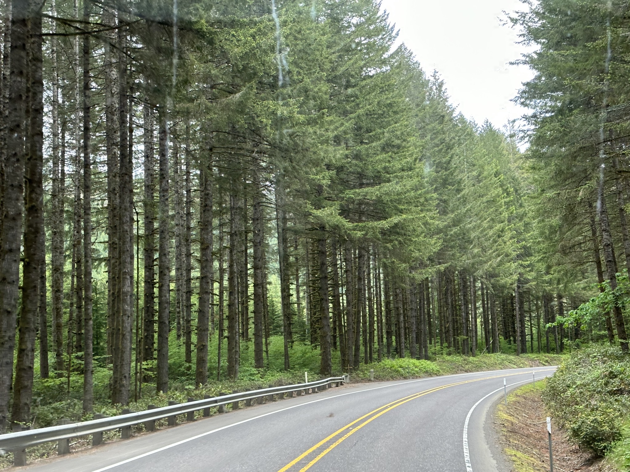 Trees