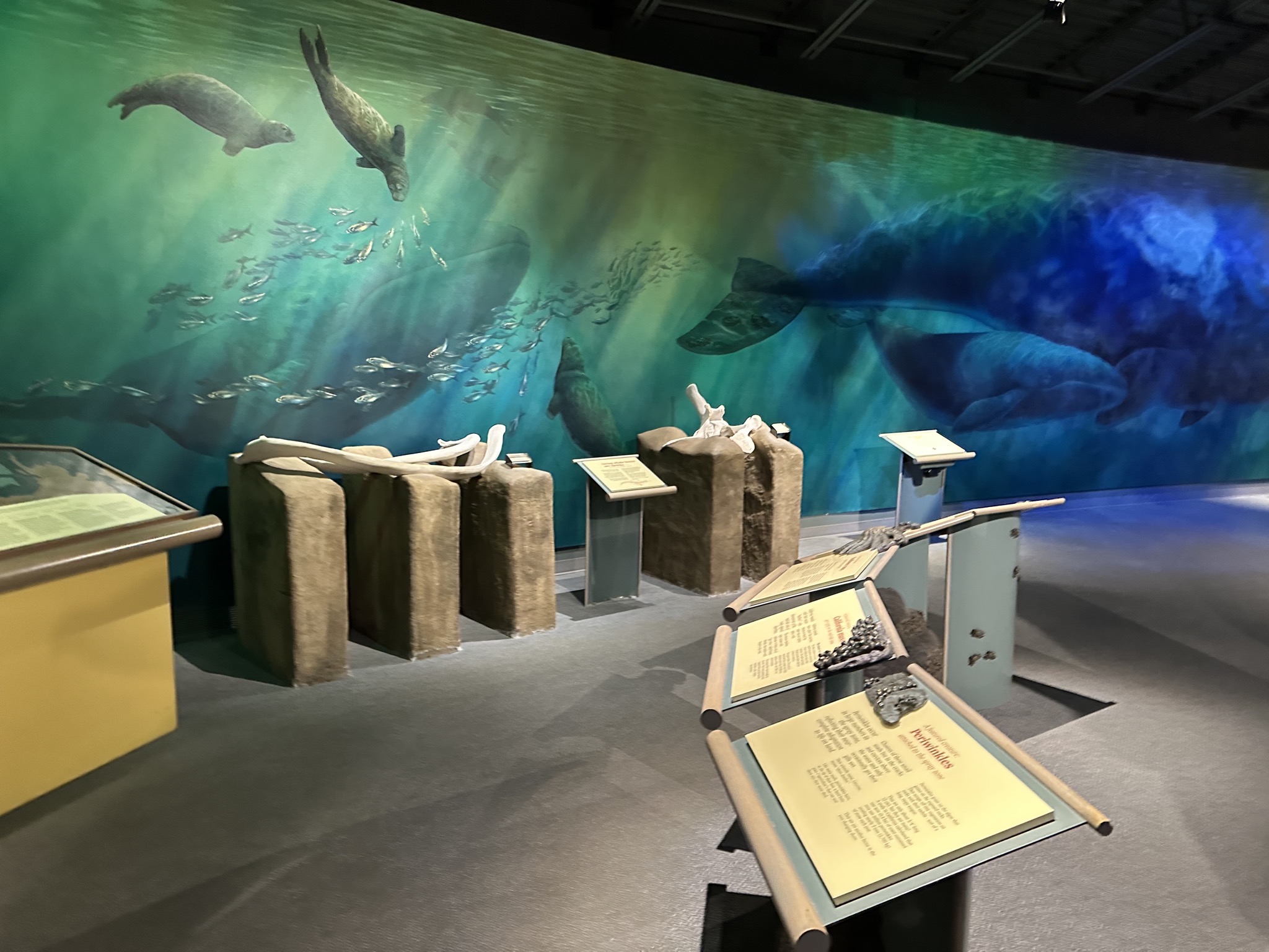 Visitor center
