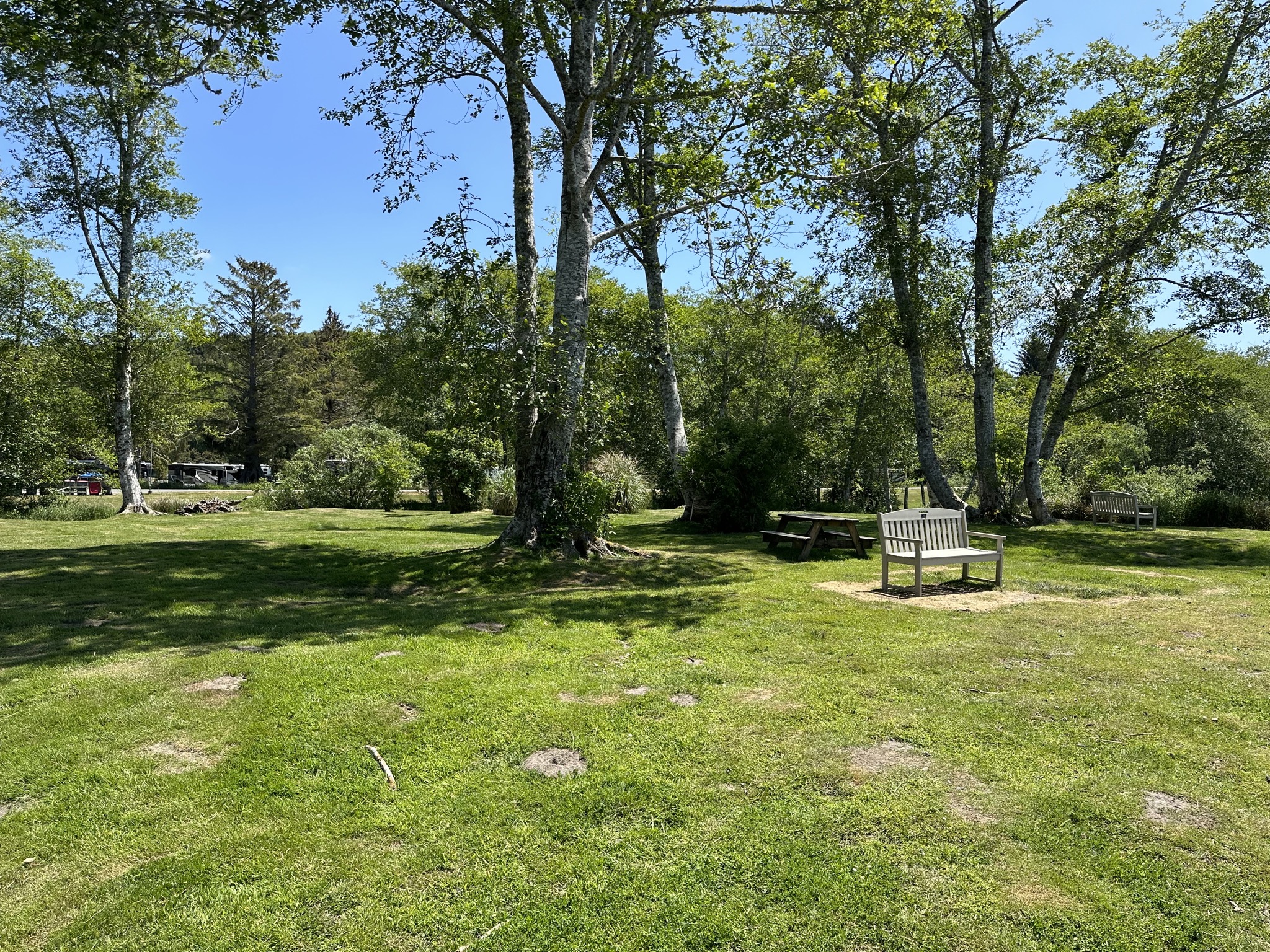 Pet exercise area