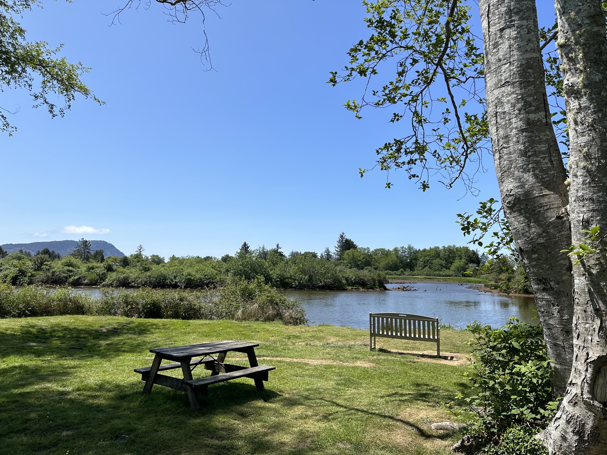 Pet exercise area