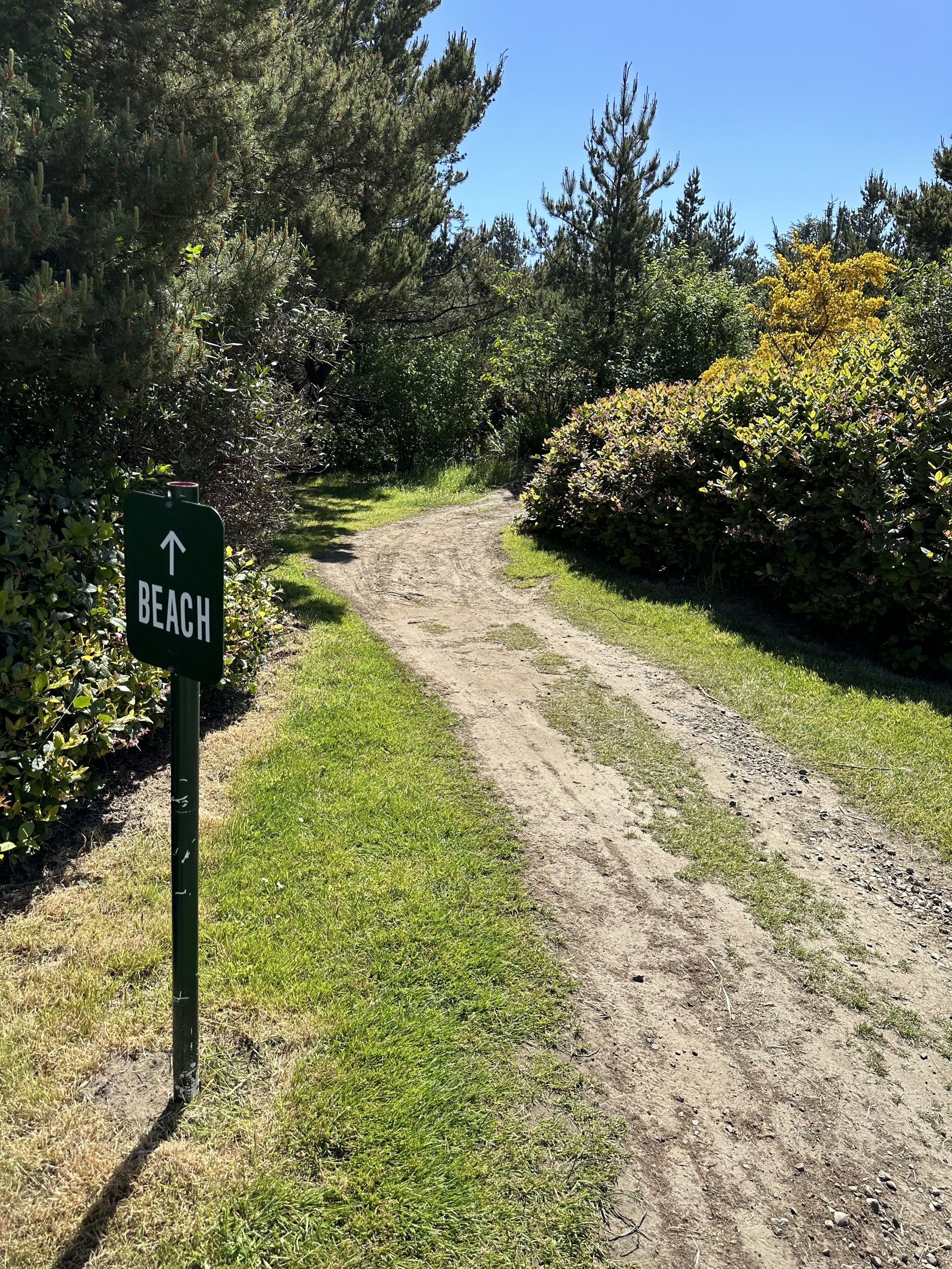 Path to the beach