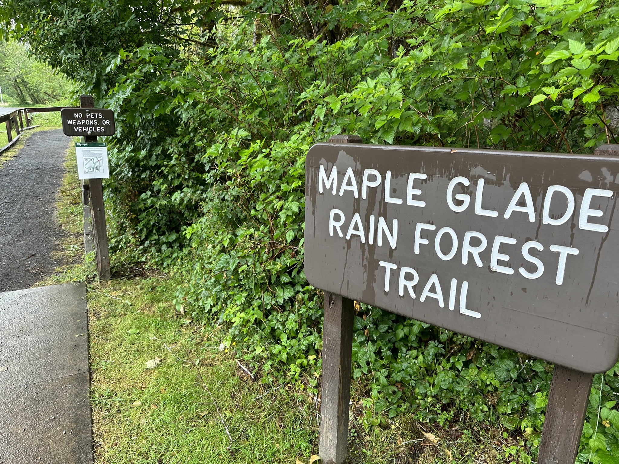 Maple Glade Rain Forest Trail