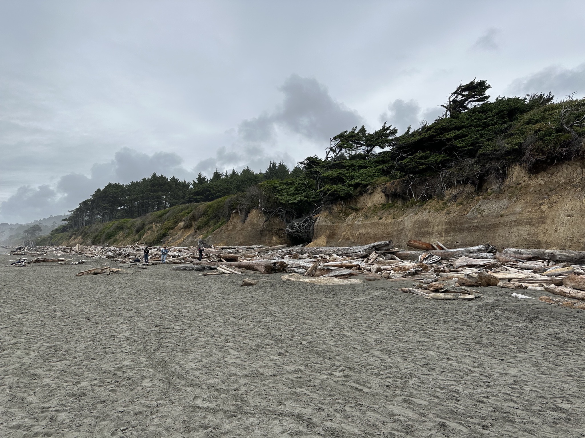 Kalaloch Beach