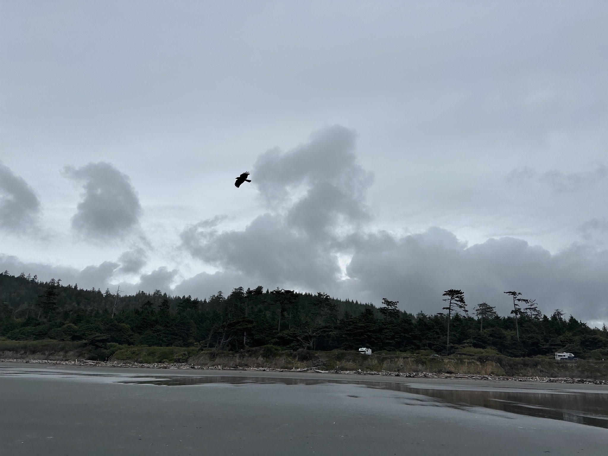 Kalaloch Beach