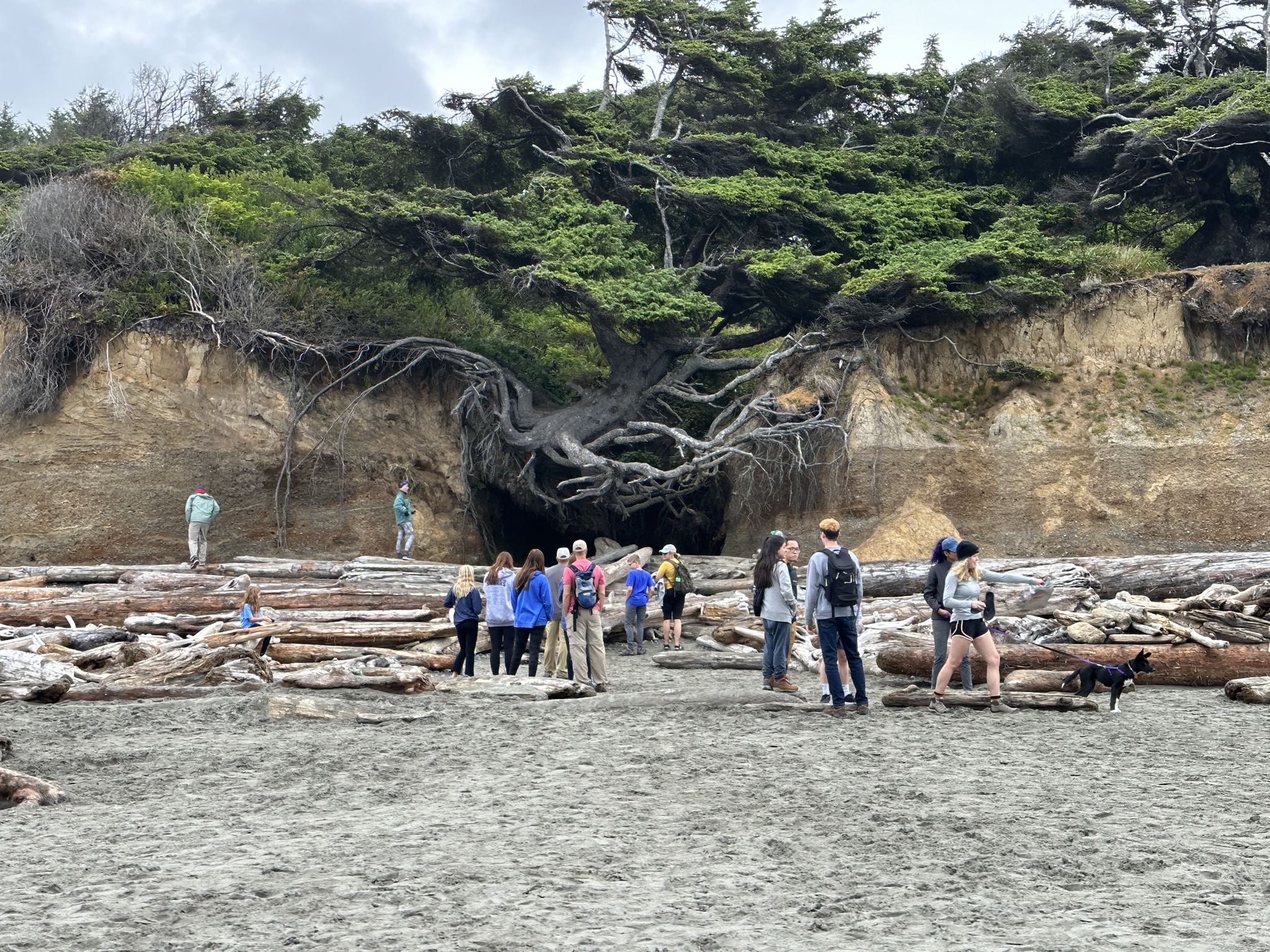 Kalaloch Beach