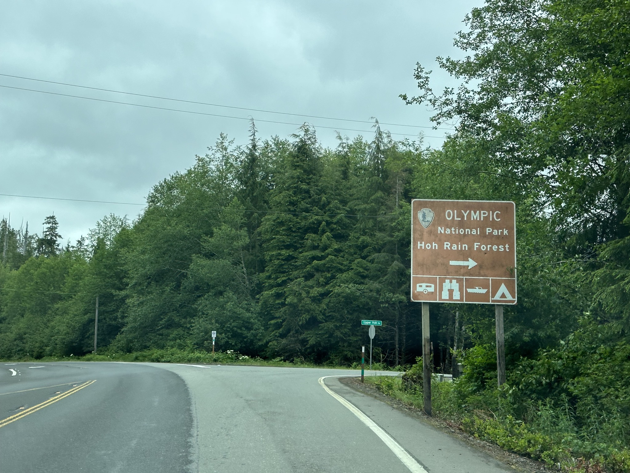 Hoh Rain Forest
