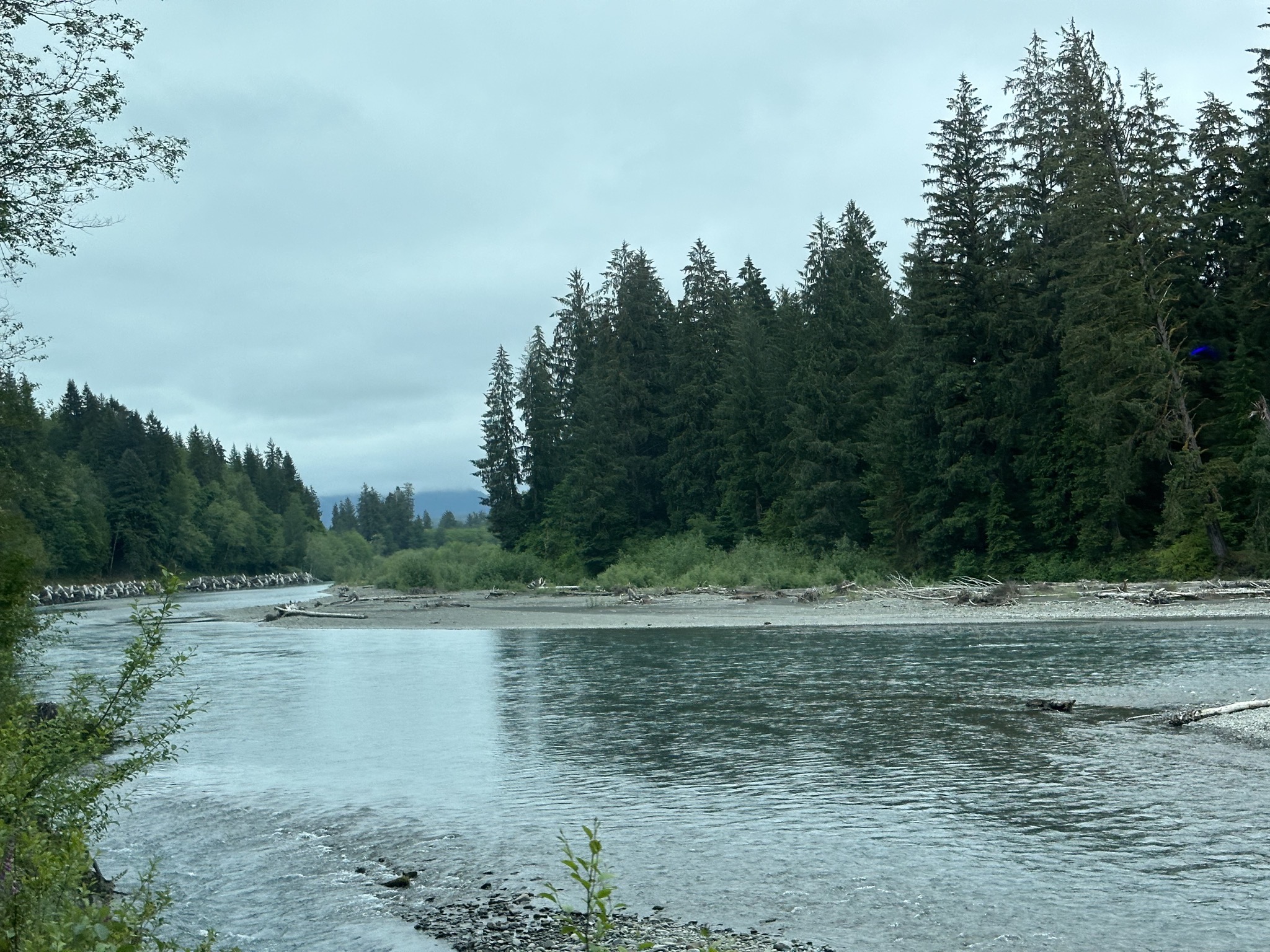 Hoh Rain Forest