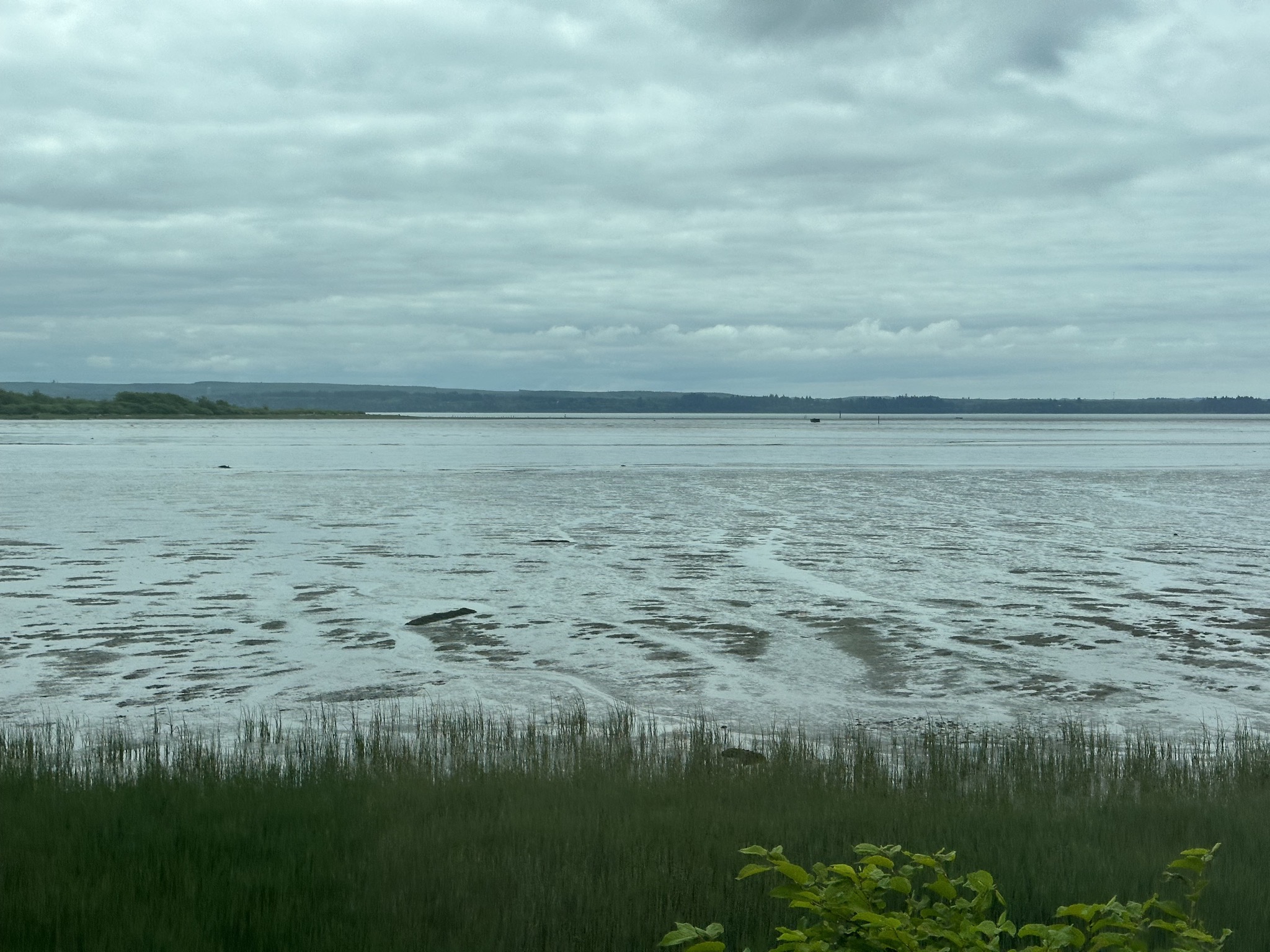 Chehalis River delta
