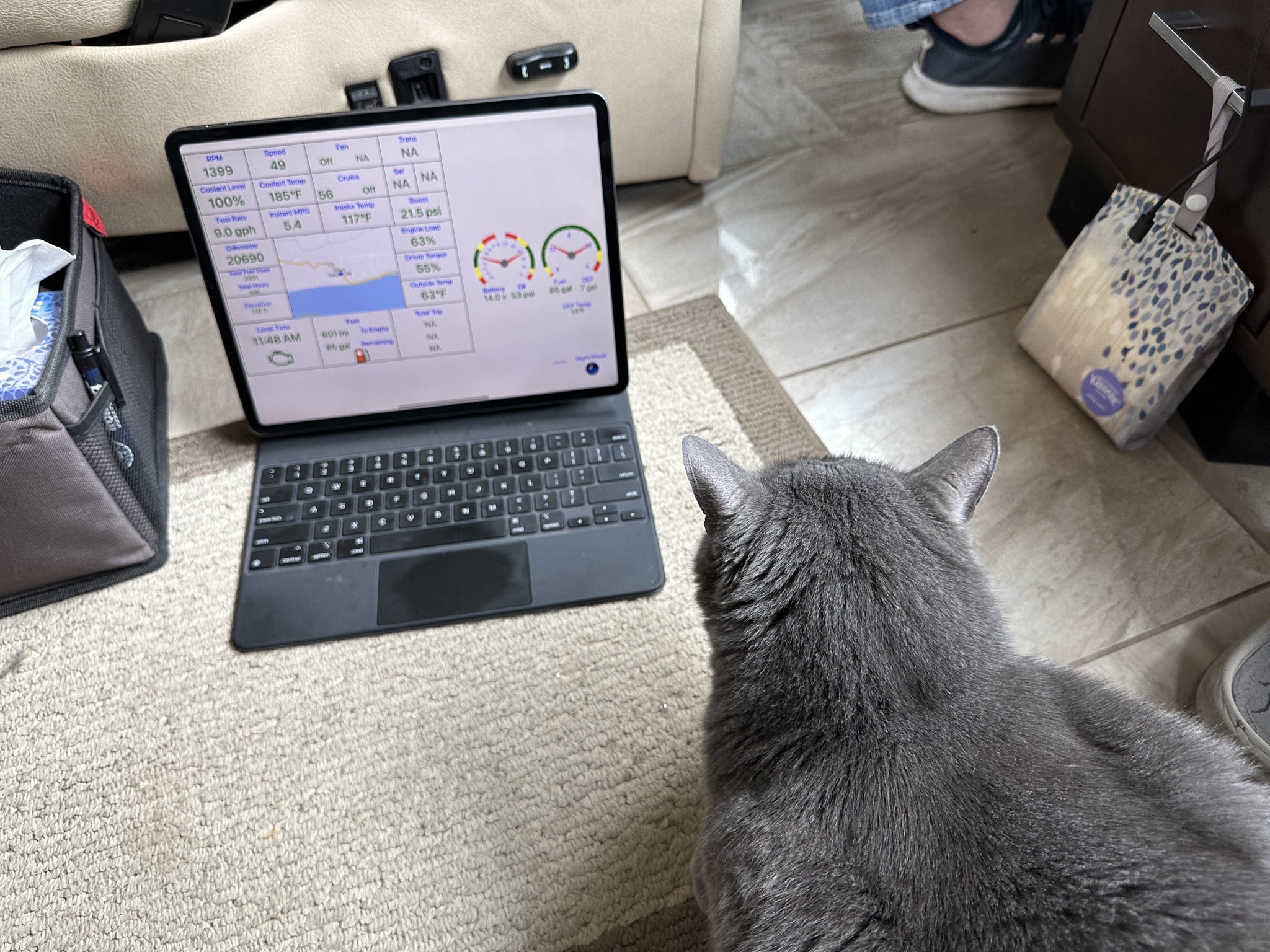 Paladin watching iPad