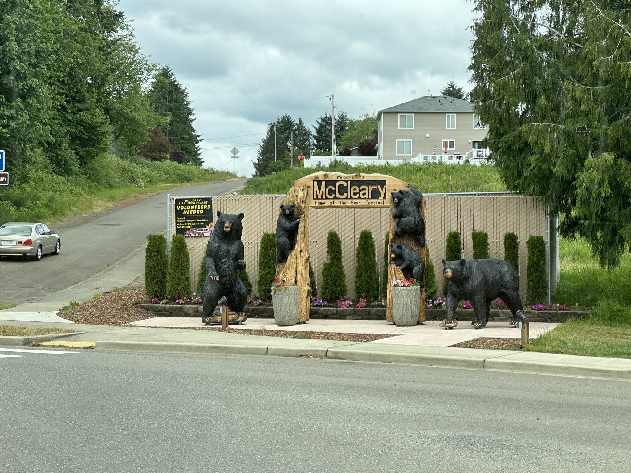 Bear artwork