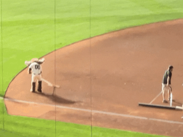 Baseball