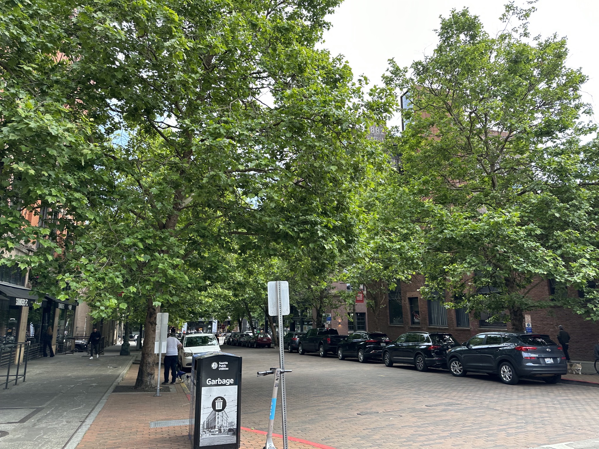 Pioneer Square