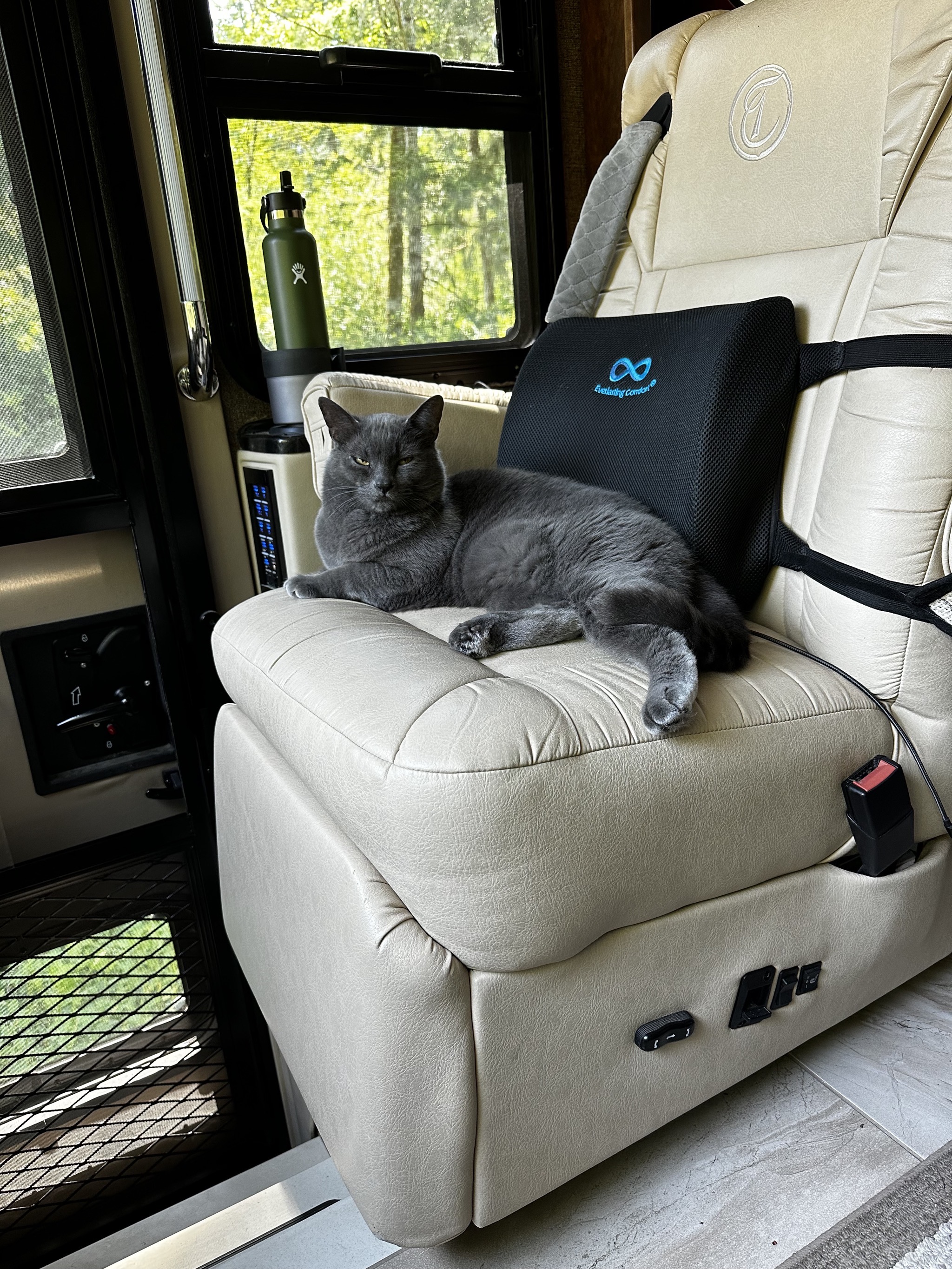 Paladin on passenger chair
