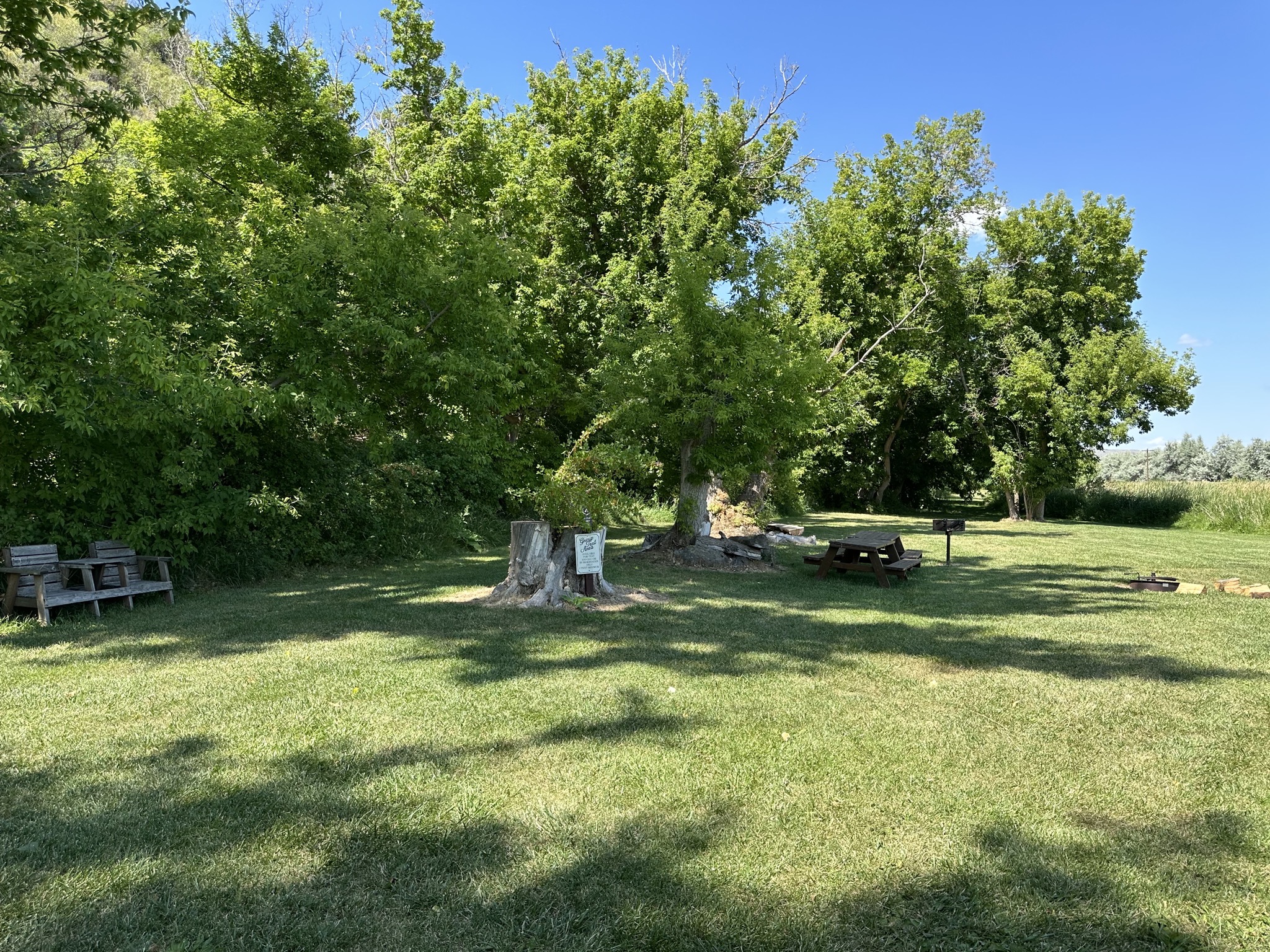 Group tent area