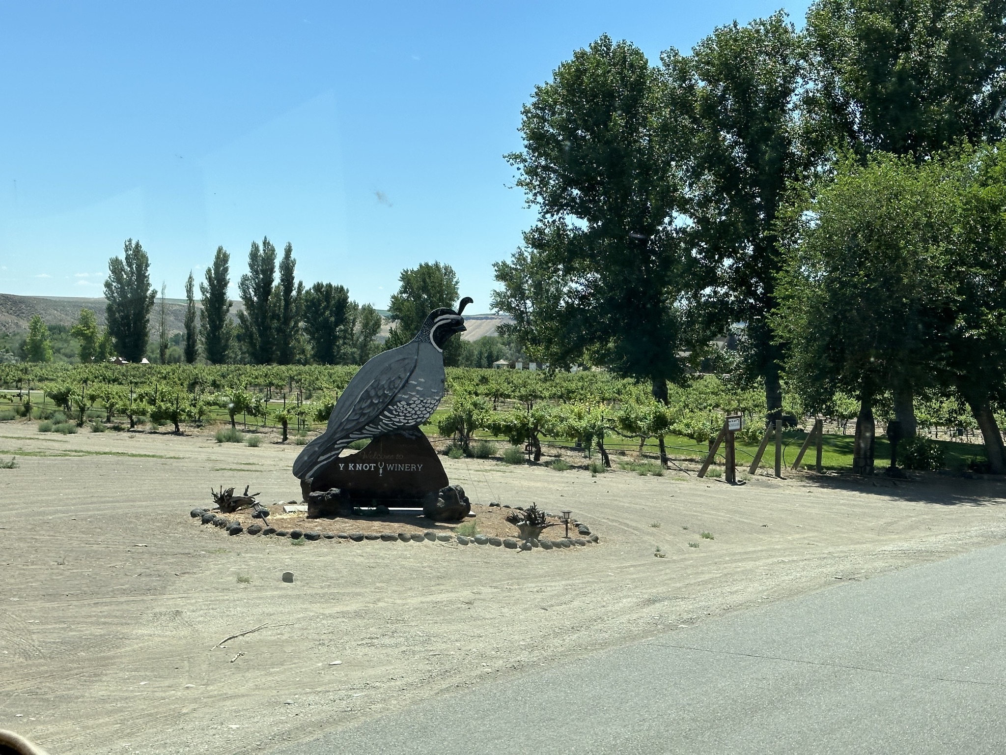 Y Knot Winery
