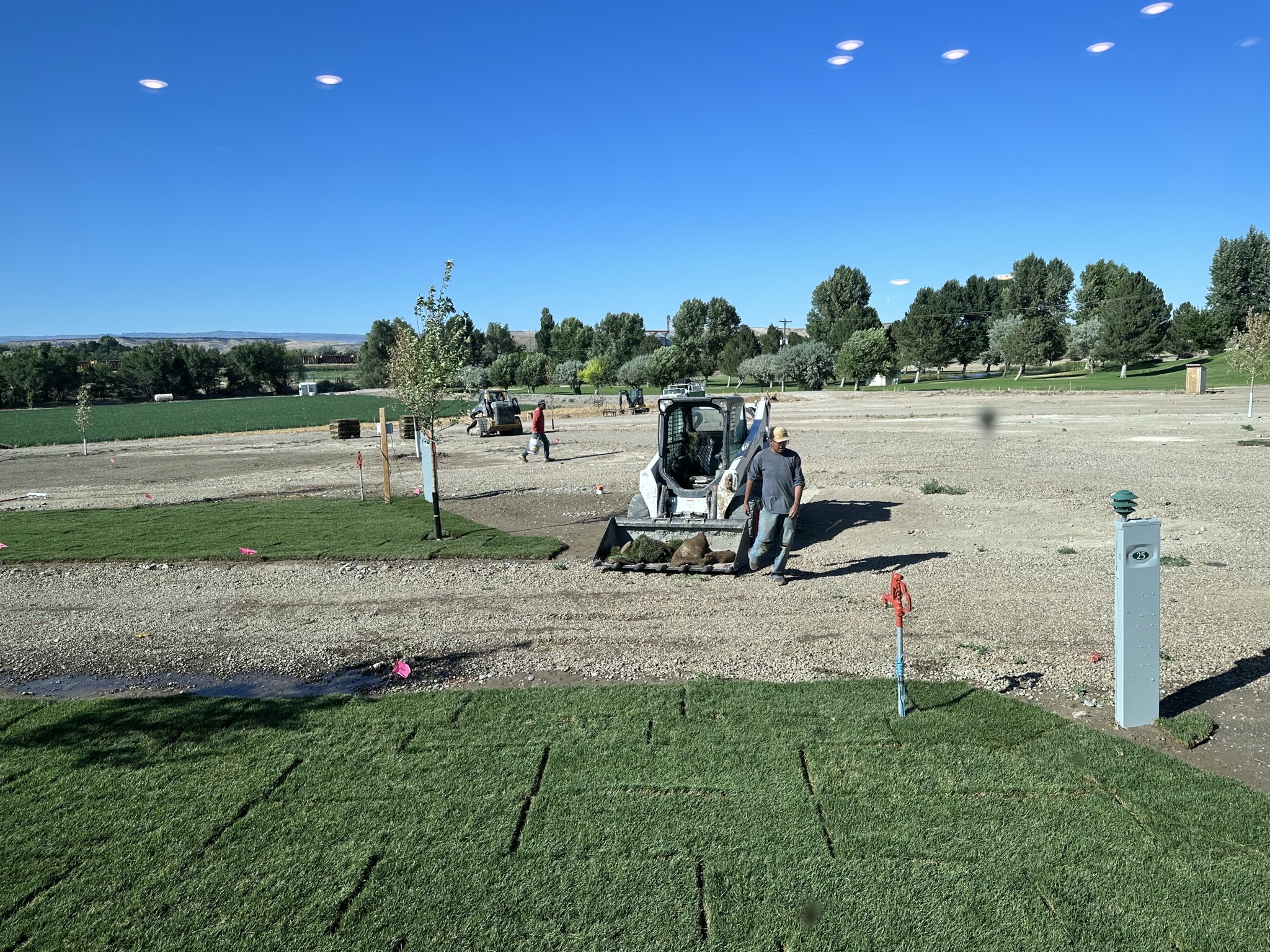 Sod cleanup