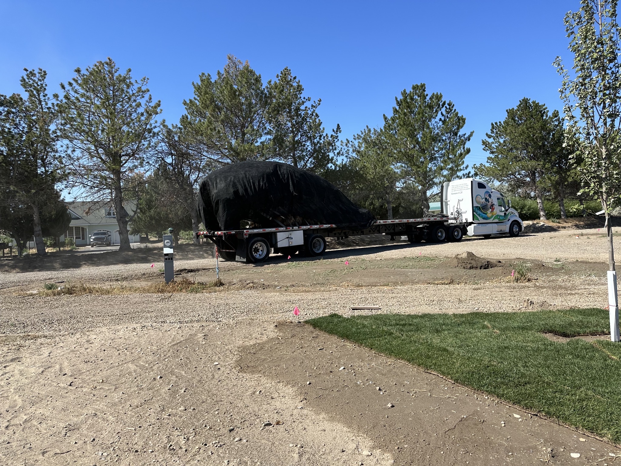 Truck with trees