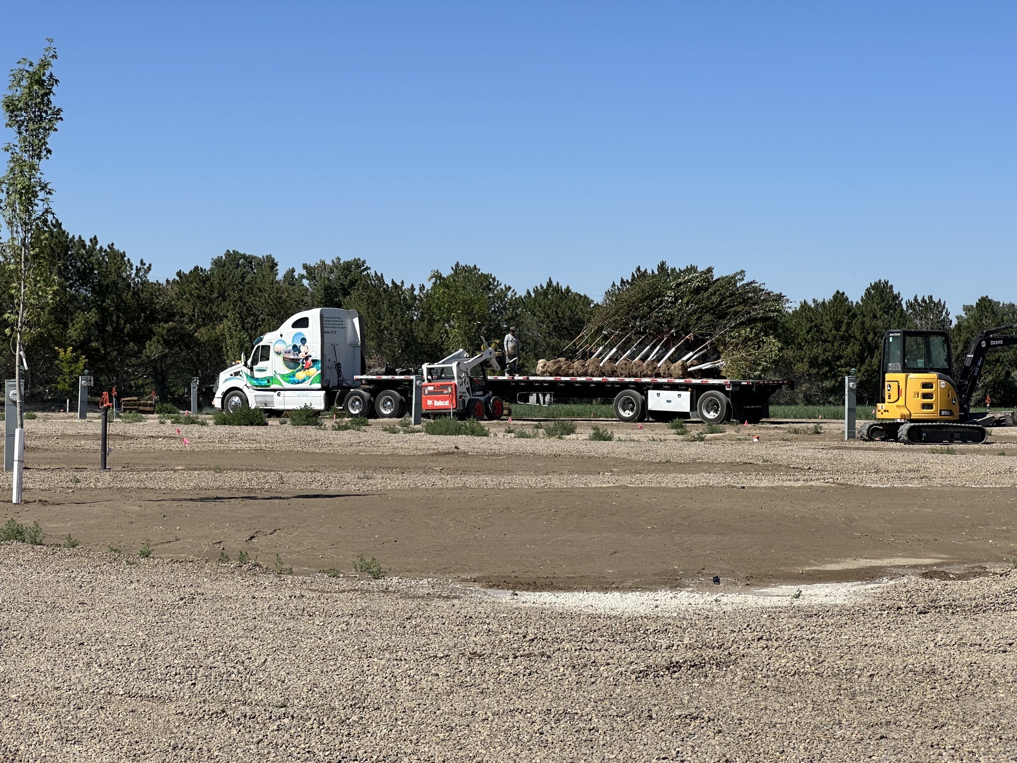 Truck of trees