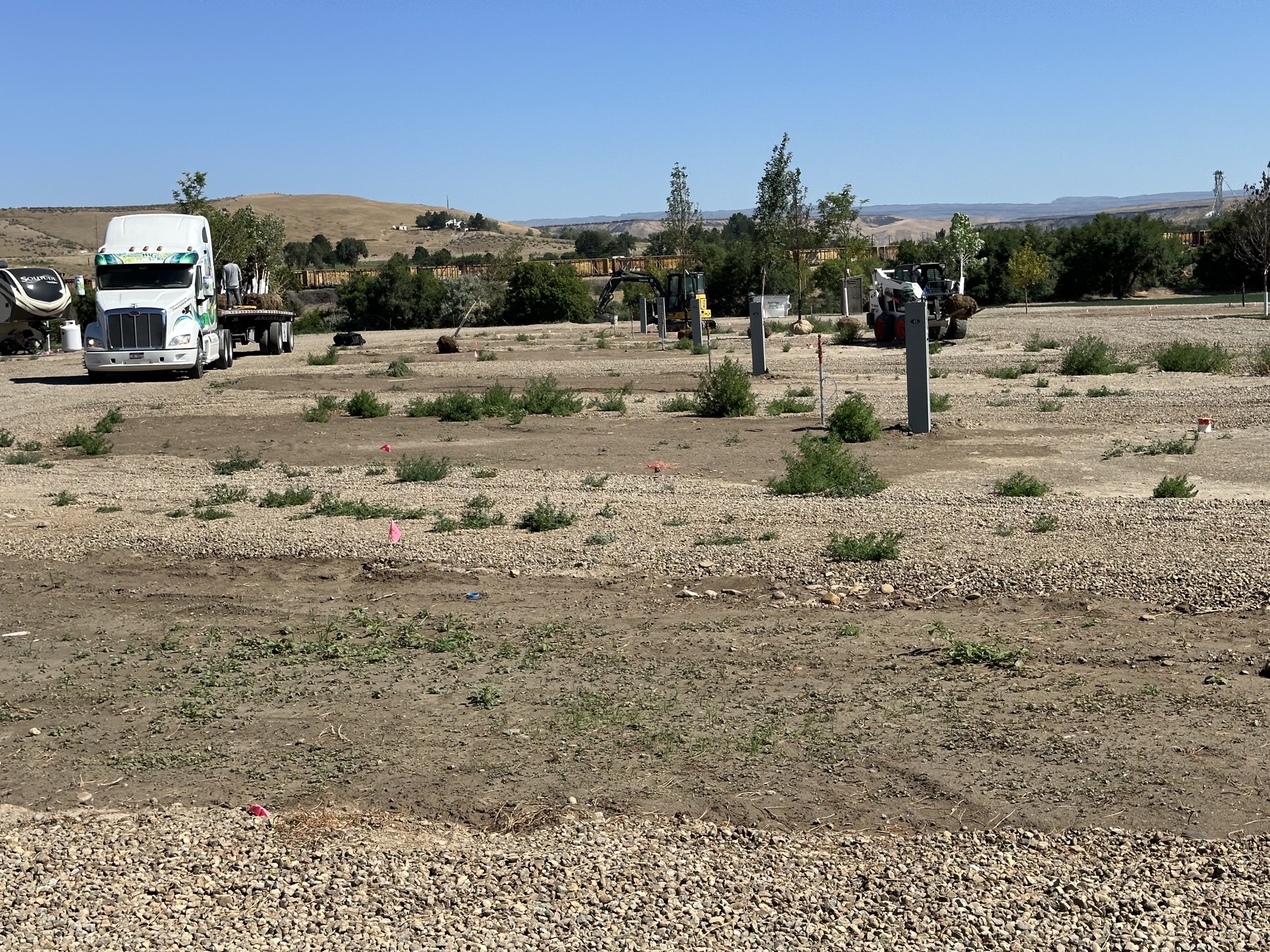 Distributing trees