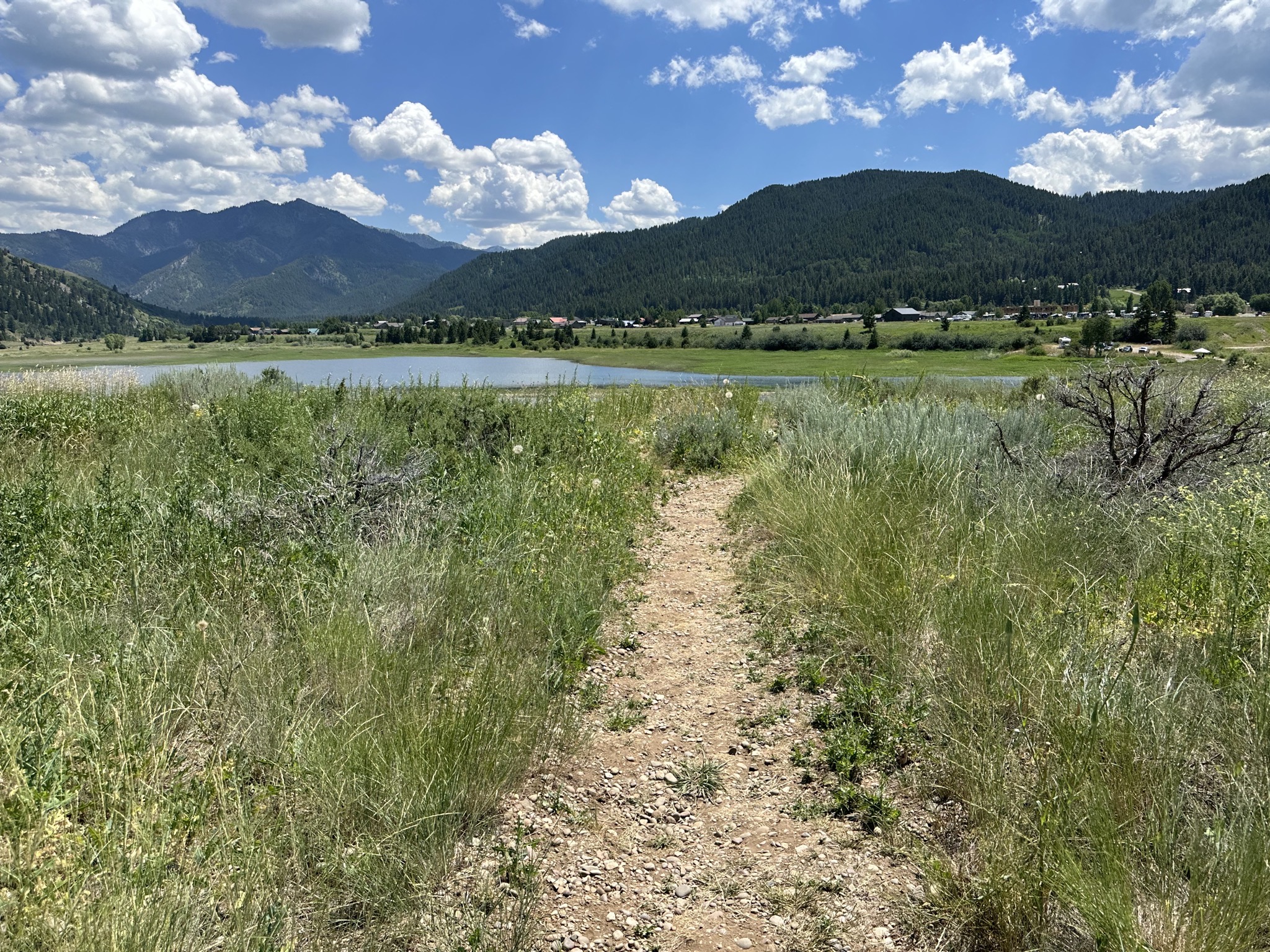 Path
