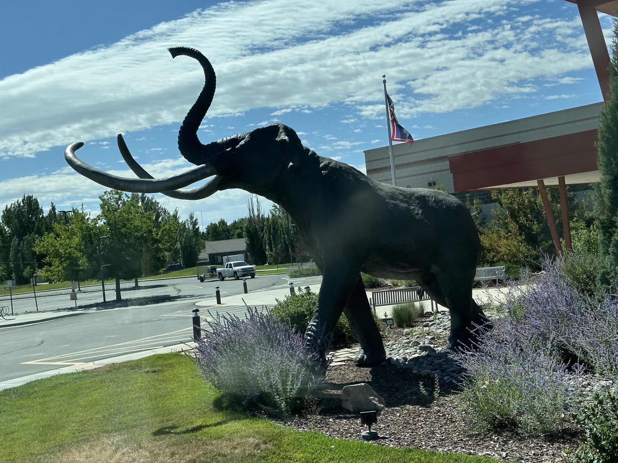 Mammoth