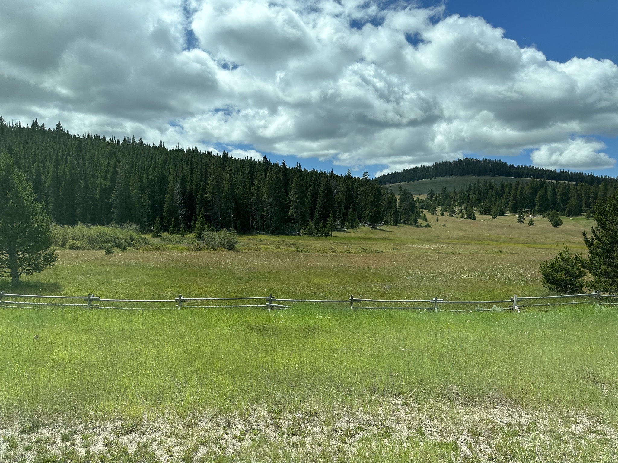 Bighorn mountains