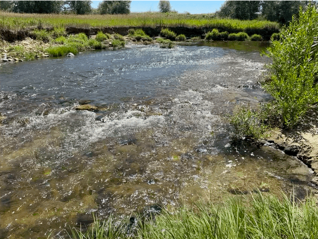 Creek