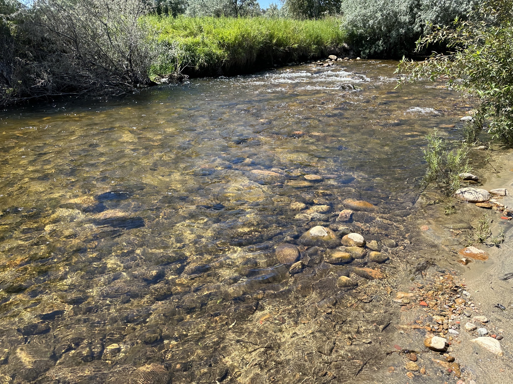 Creek