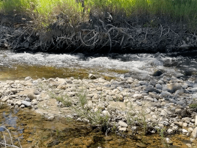 Creek