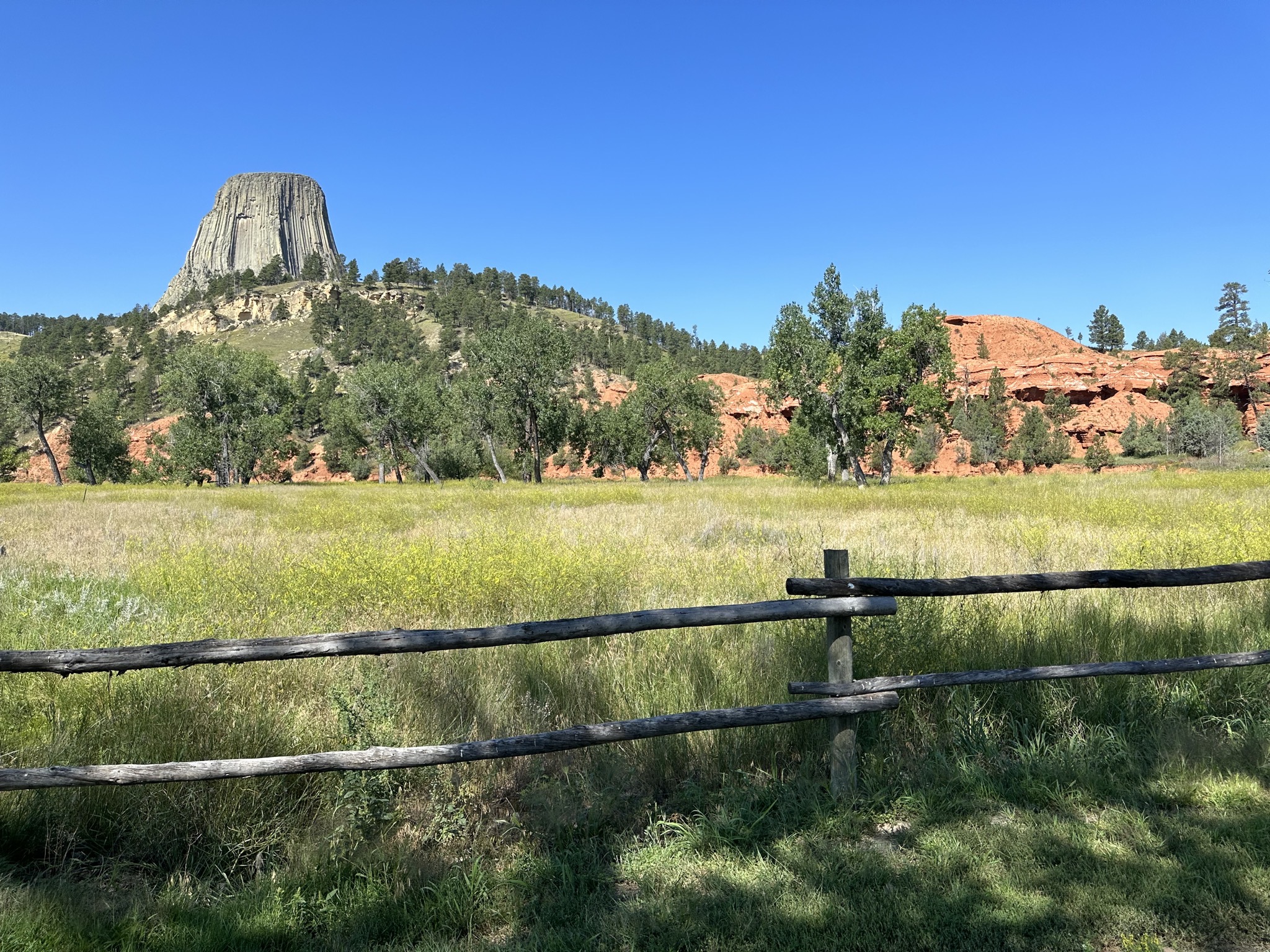 Meadow and tower