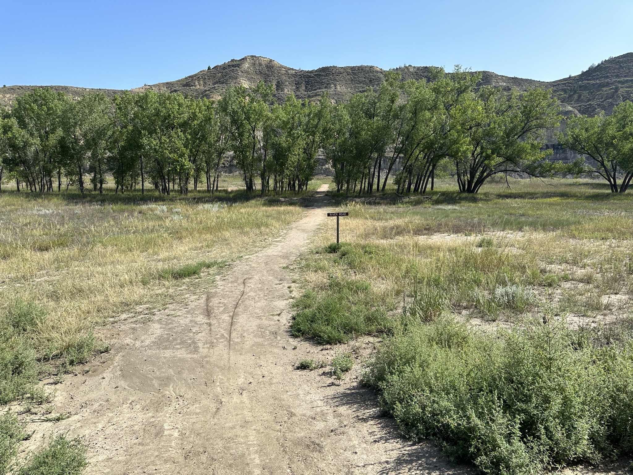 Path